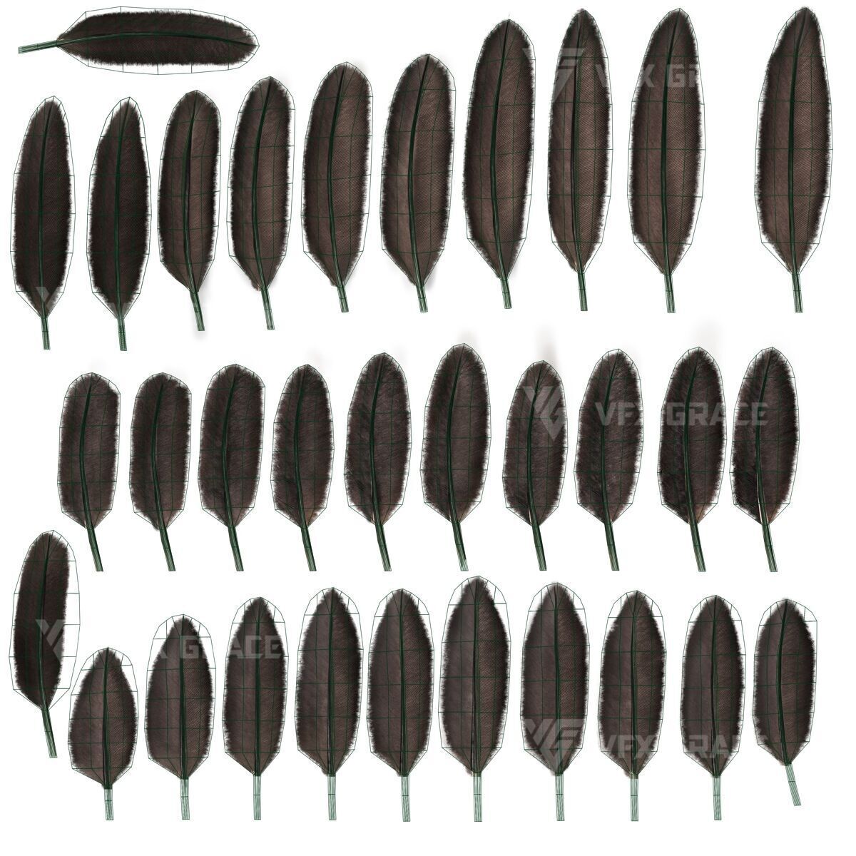 Realistic Cormorant Animation 3D Model Rigged for Blender 3D model_27