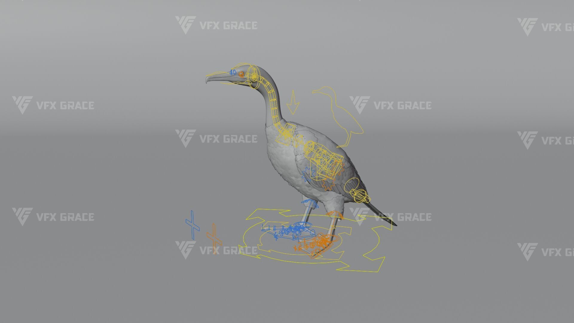 Realistic Cormorant Animation 3D Model Rigged for Blender 3D model_13