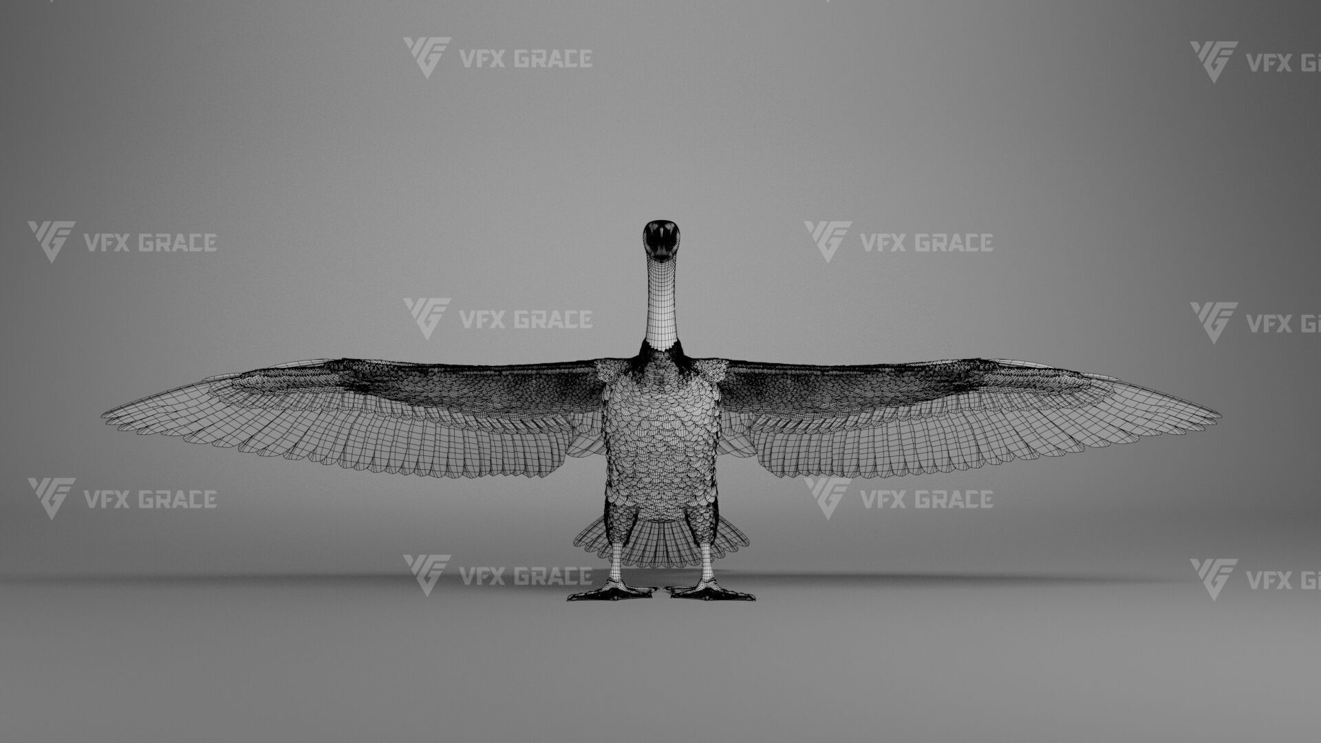 Realistic Cormorant Animation 3D Model Rigged for Blender 3D model_40