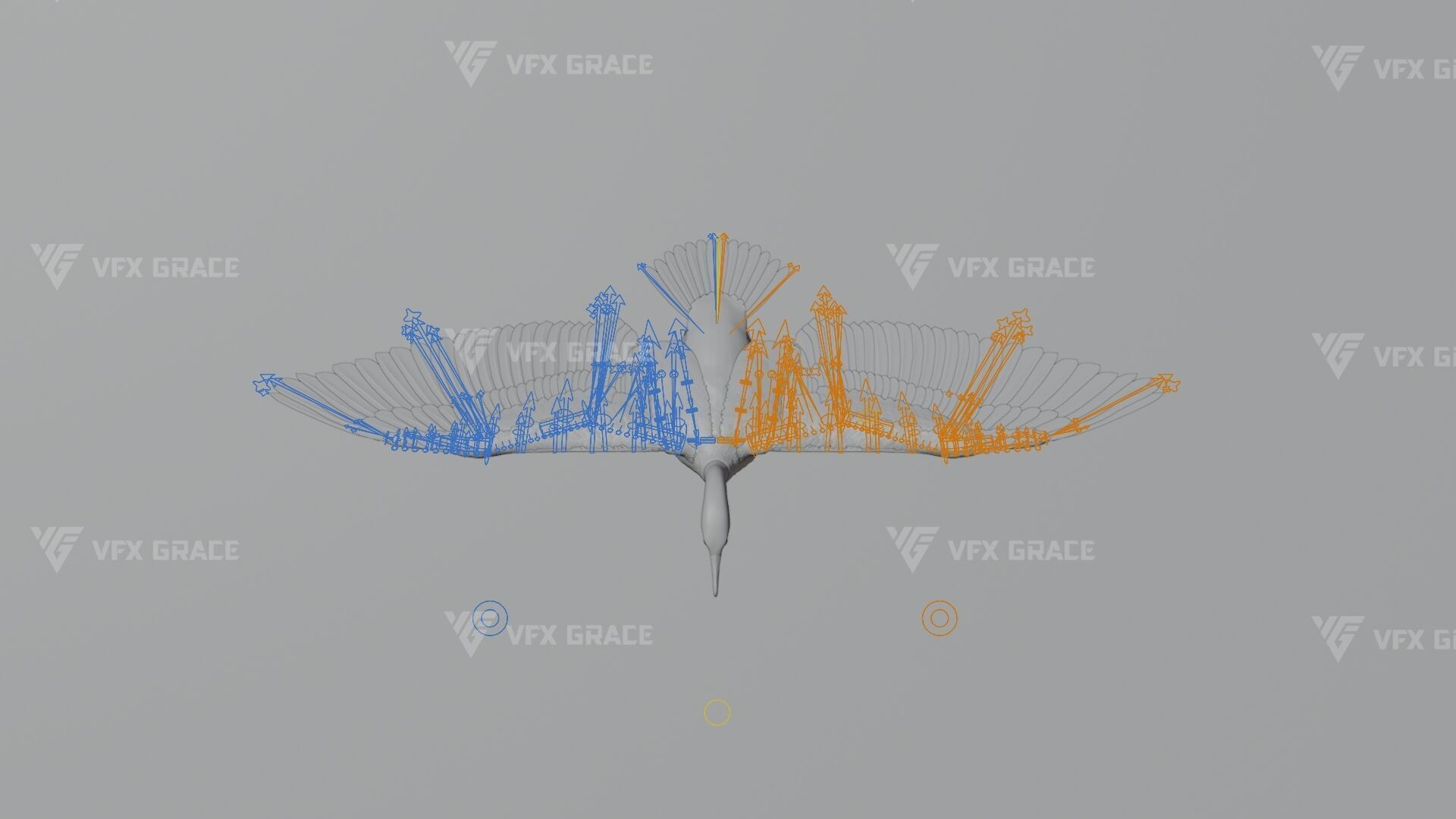 Realistic Cormorant Animation 3D Model Rigged for Blender 3D model_15