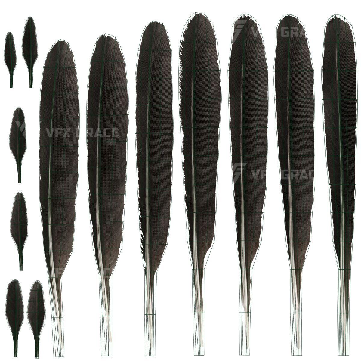 Realistic Cormorant Animation 3D Model Rigged for Blender 3D model_29