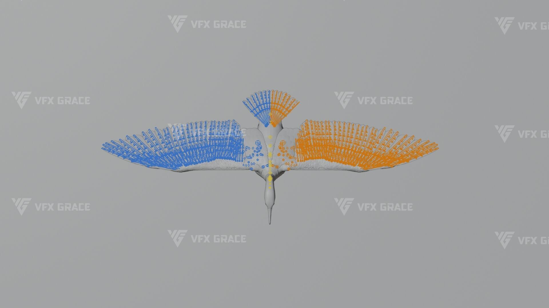 Realistic Cormorant Animation 3D Model Rigged for Blender 3D model_16