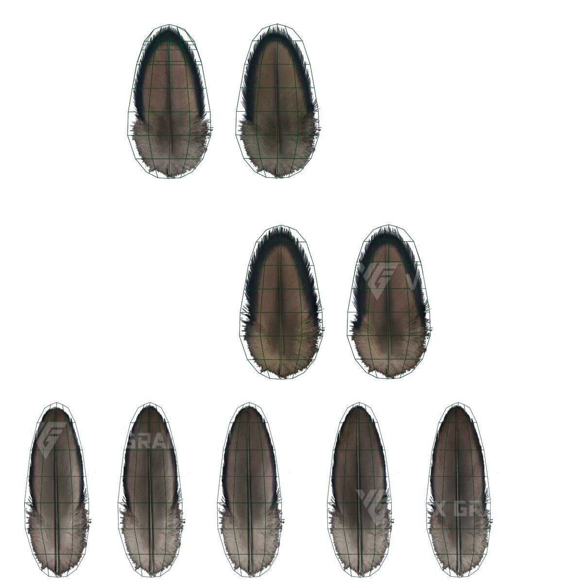 Realistic Cormorant Animation 3D Model Rigged for Blender 3D model_31