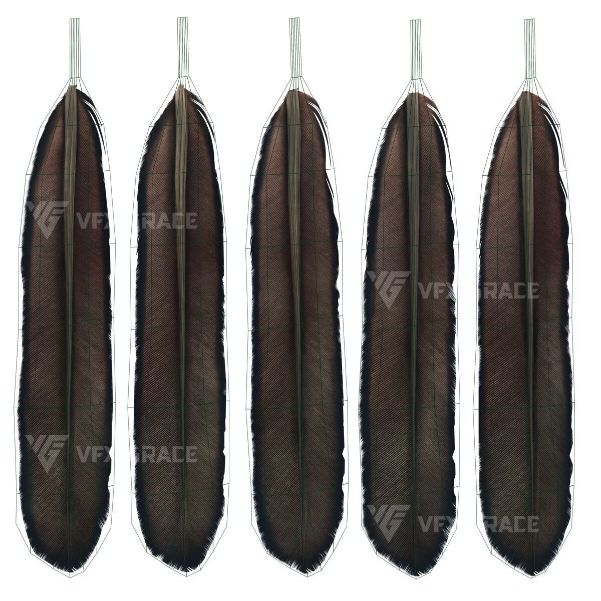 Realistic Cormorant Animation 3D Model Rigged for Blender 3D model_26