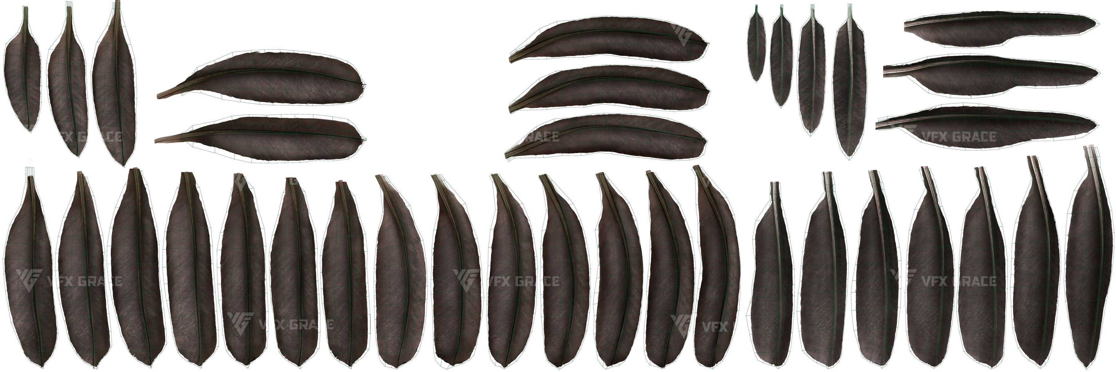 Realistic Cormorant Animation 3D Model Rigged for Blender 3D model_21