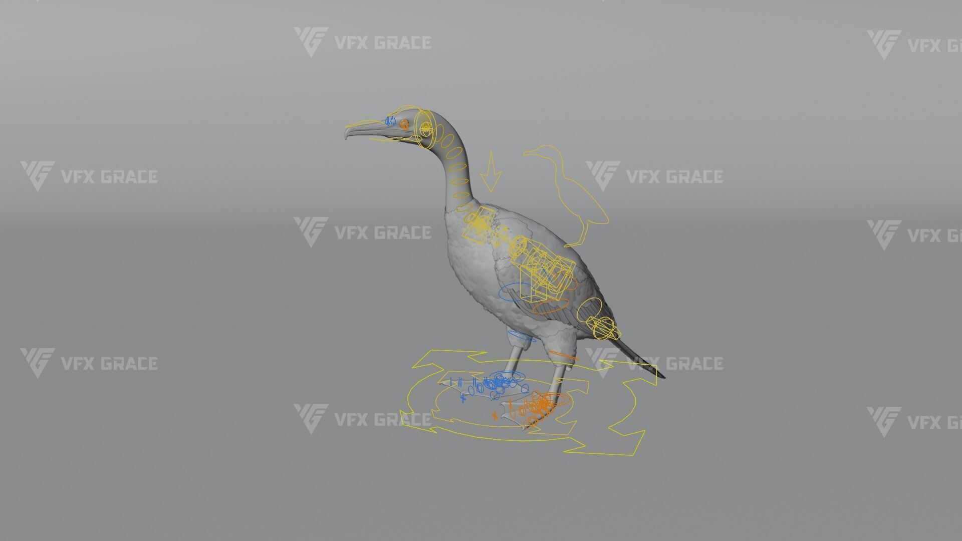 Realistic Cormorant Animation 3D Model Rigged for Blender 3D model_14