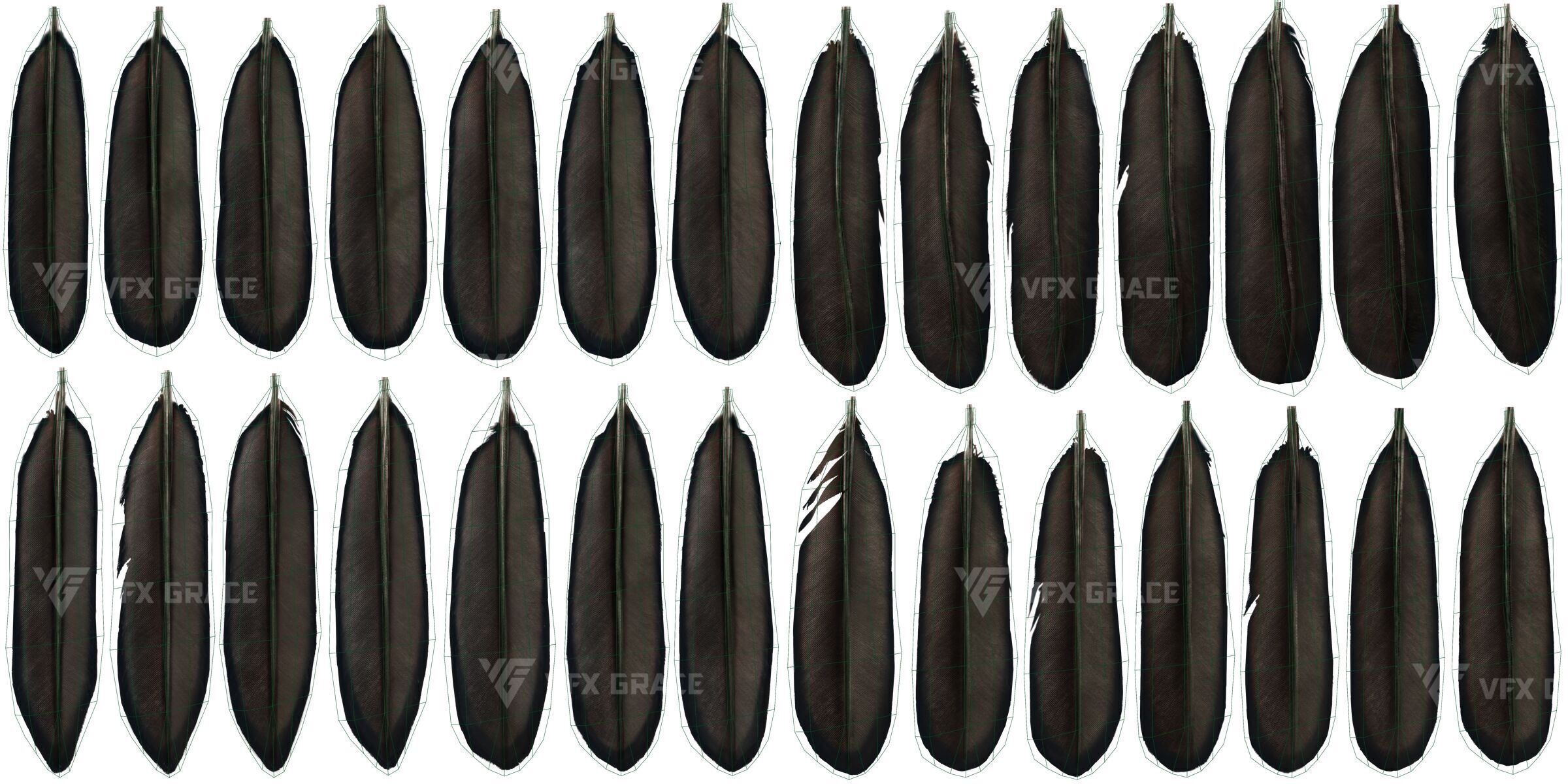 Realistic Cormorant Animation 3D Model Rigged for Blender 3D model_19