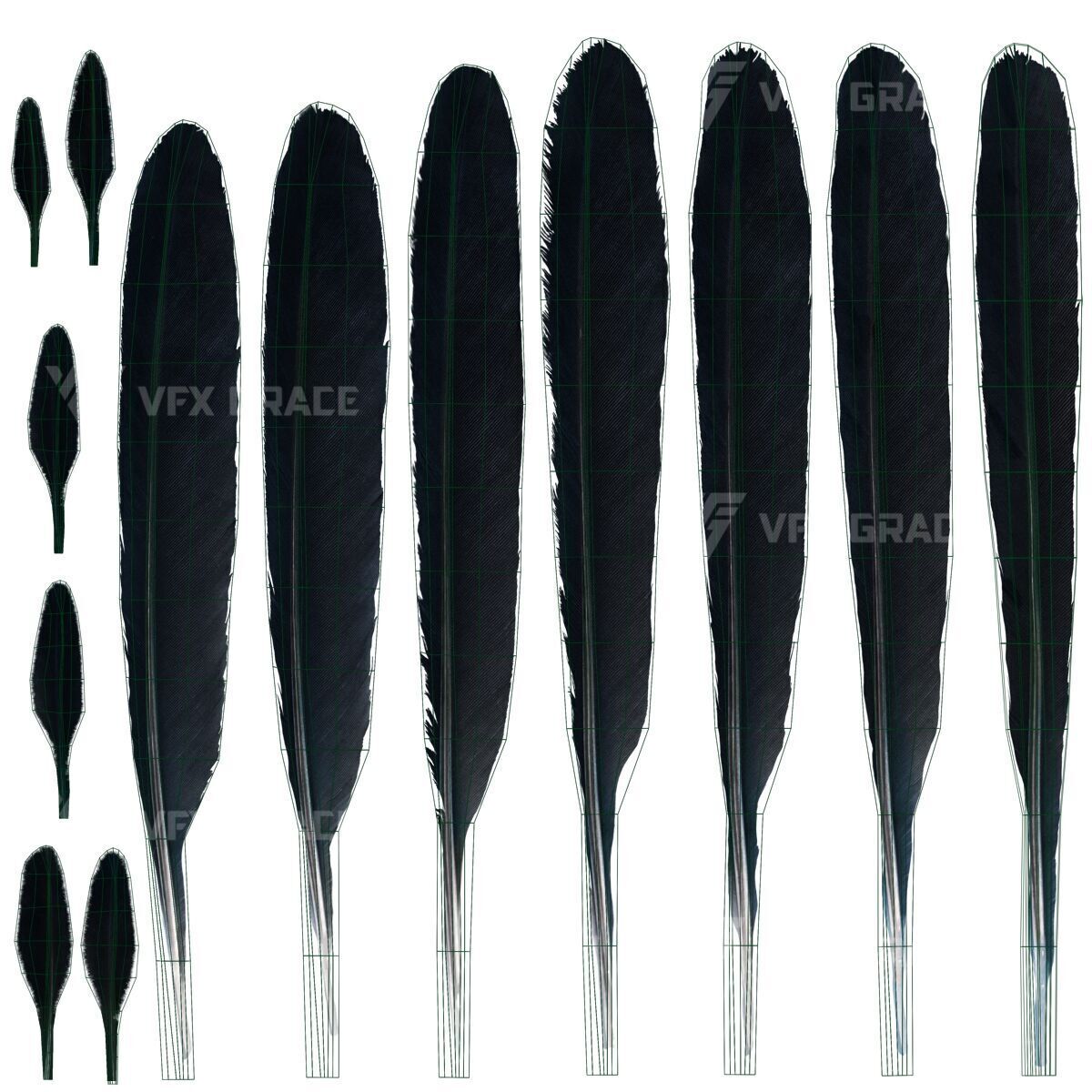 Realistic Cormorant Animation 3D Model Rigged for Blender 3D model_28