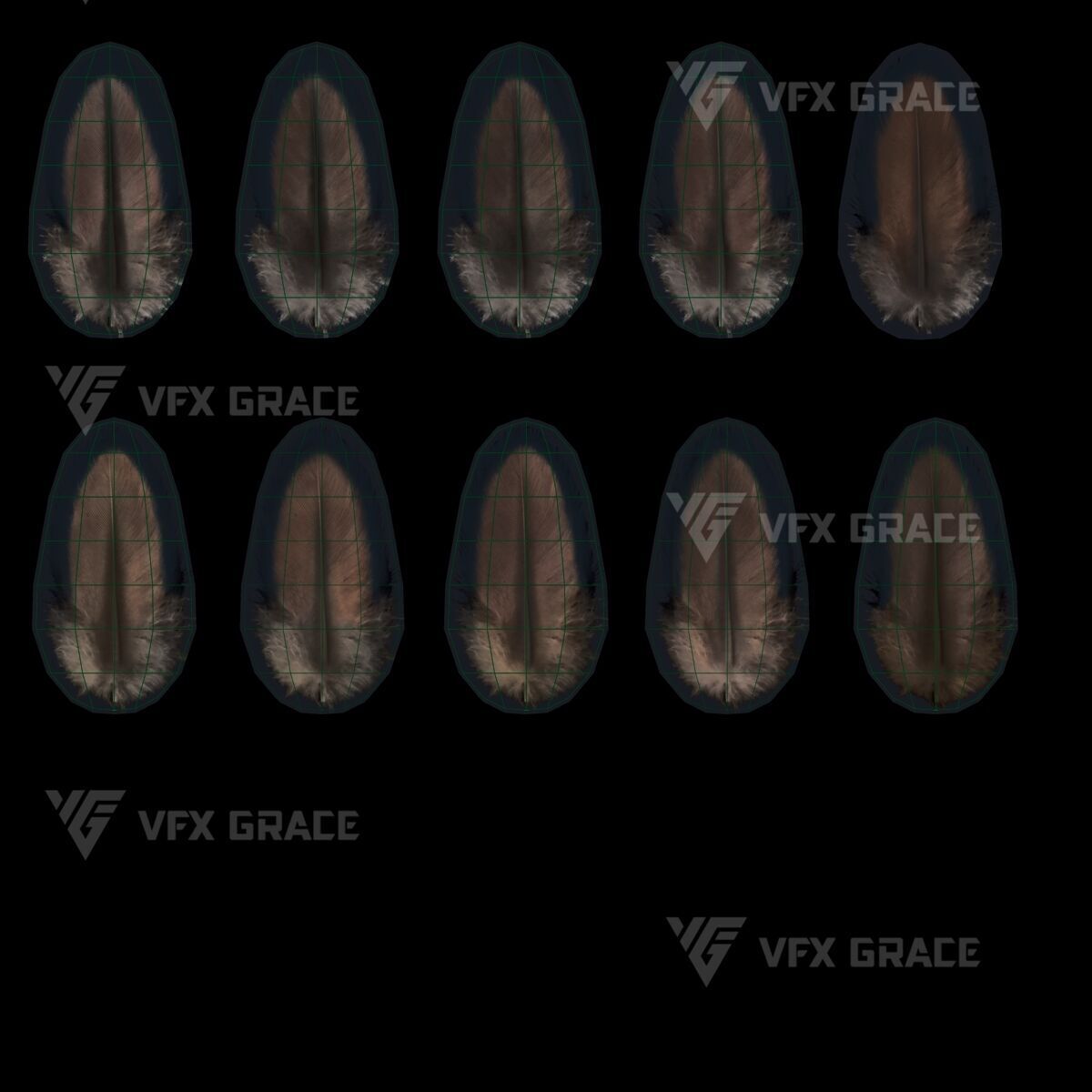 Realistic Cormorant Animation 3D Model Rigged for Blender 3D model_30