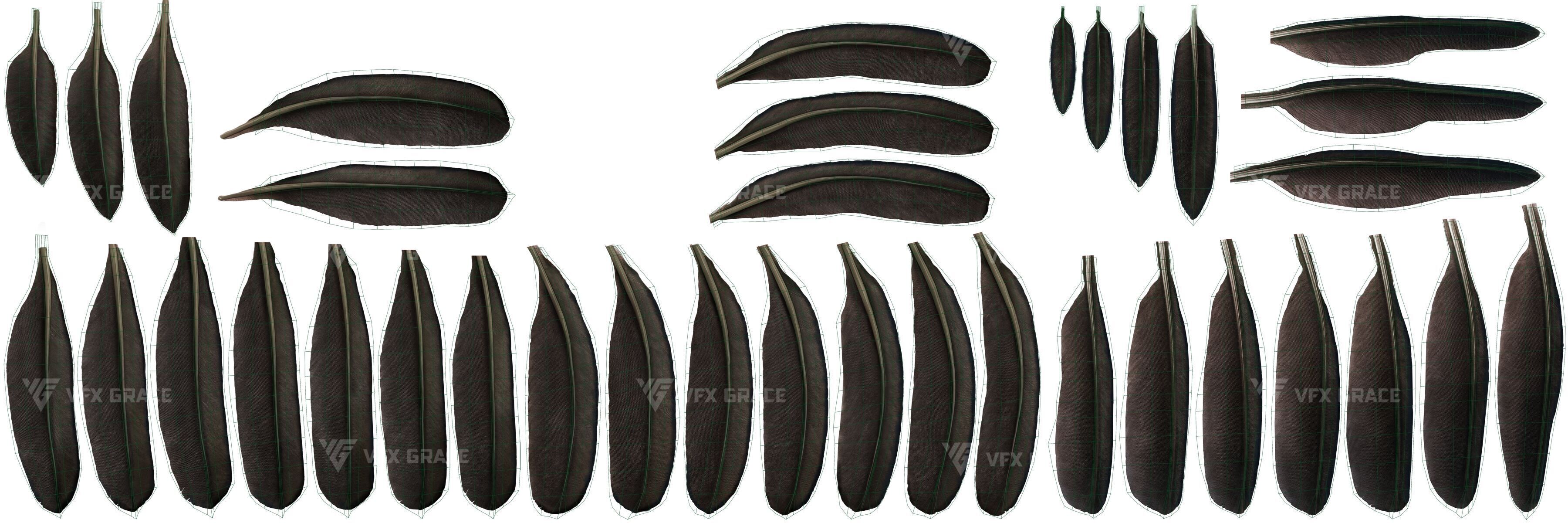 Realistic Cormorant Animation 3D Model Rigged for Blender 3D model_20