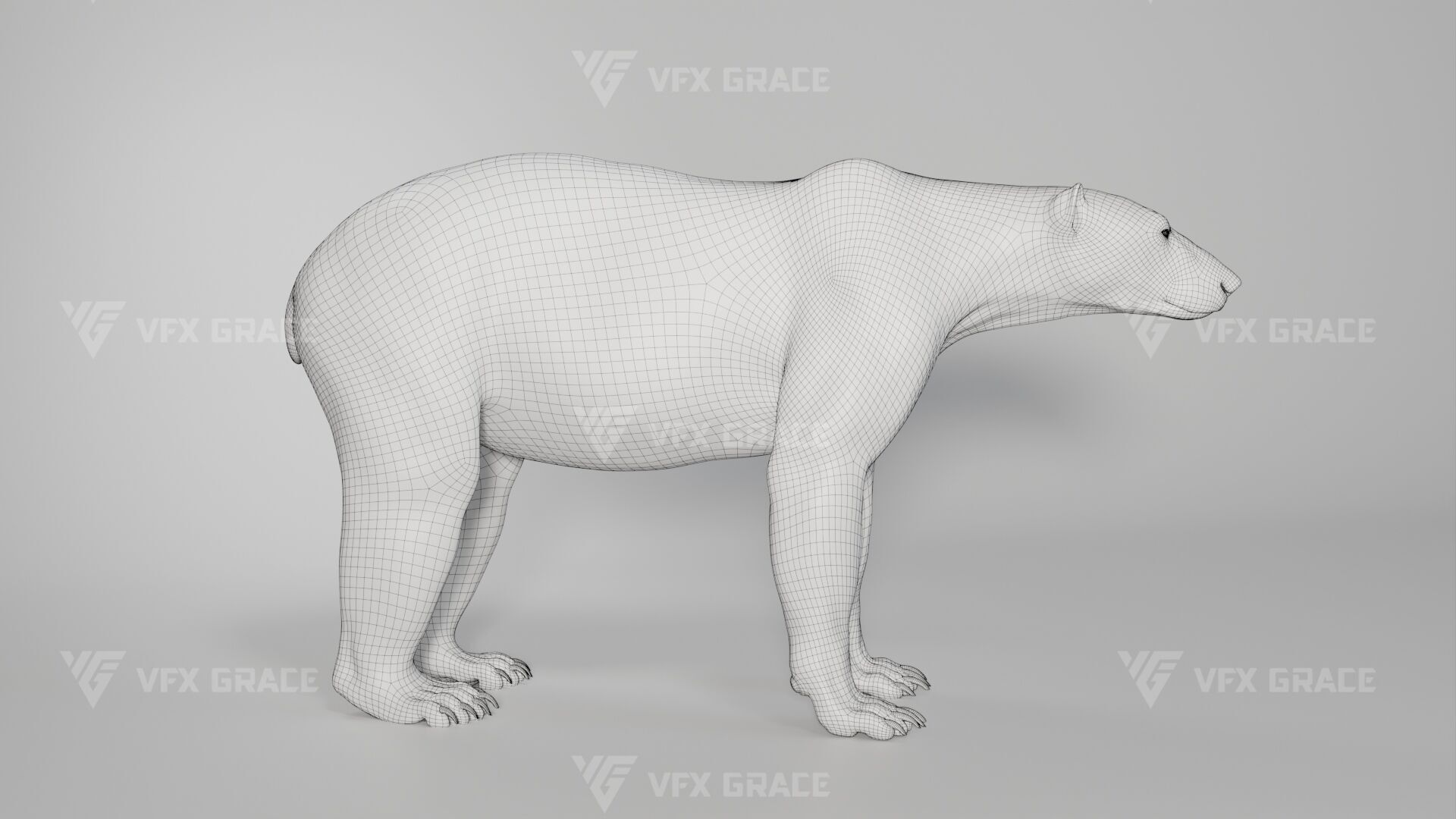 Polar Bear Animation 3D model_17
