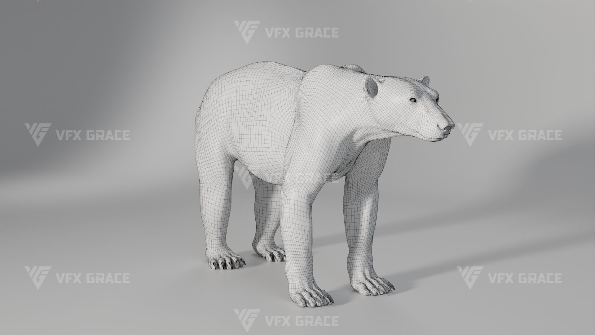 Polar Bear Animation 3D model_16