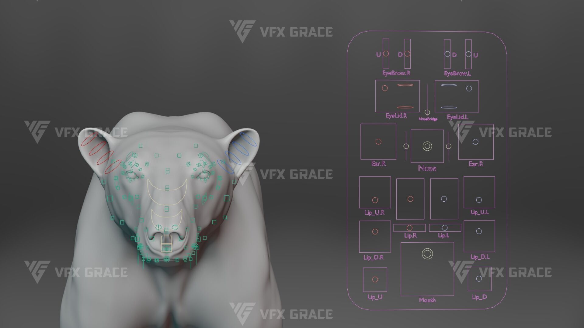 Polar Bear Animation 3D model_10