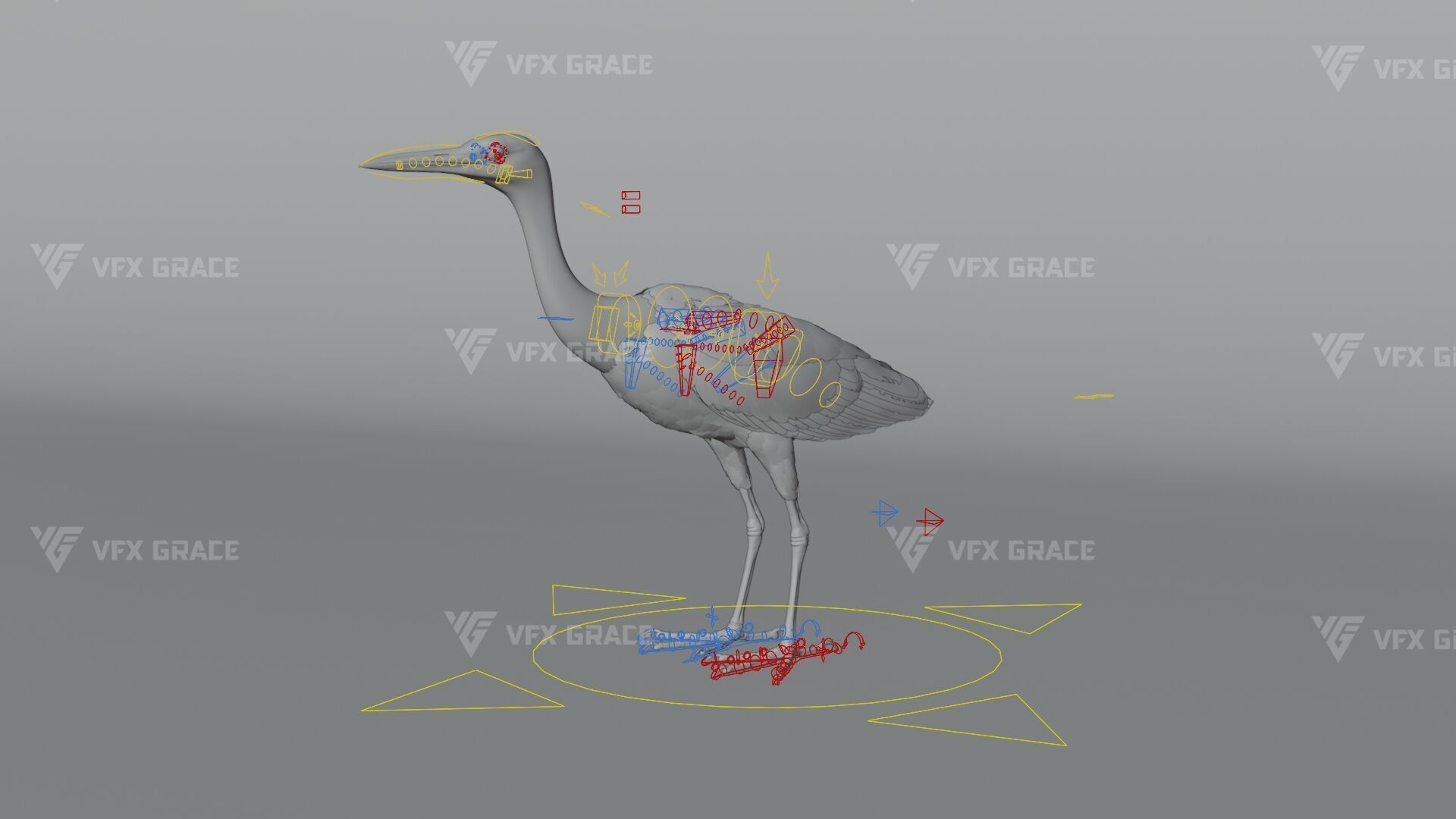 Cattle Egret Animation 3D model_13