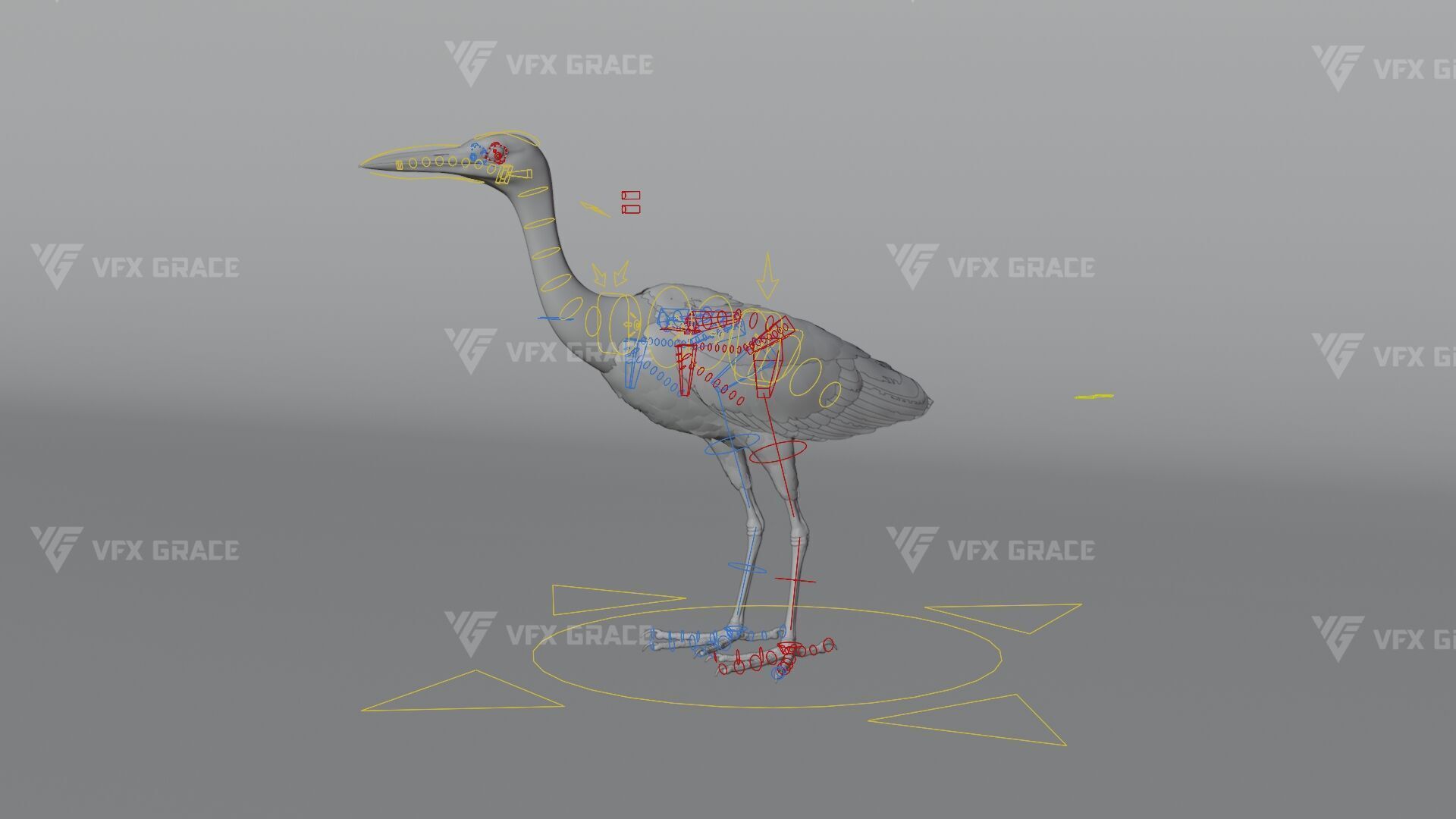 Cattle Egret Animation 3D model_14
