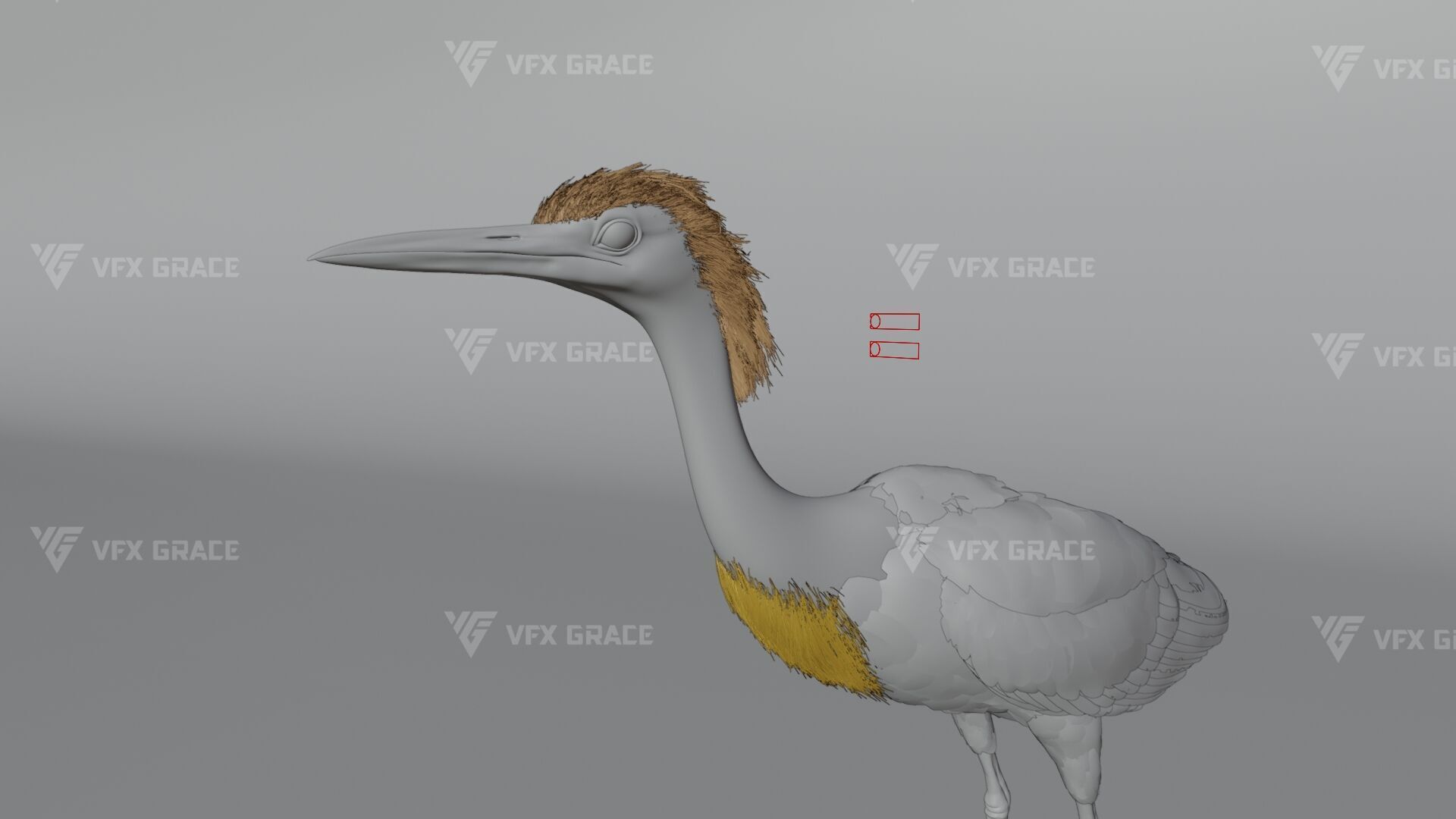 Cattle Egret Animation 3D model_15