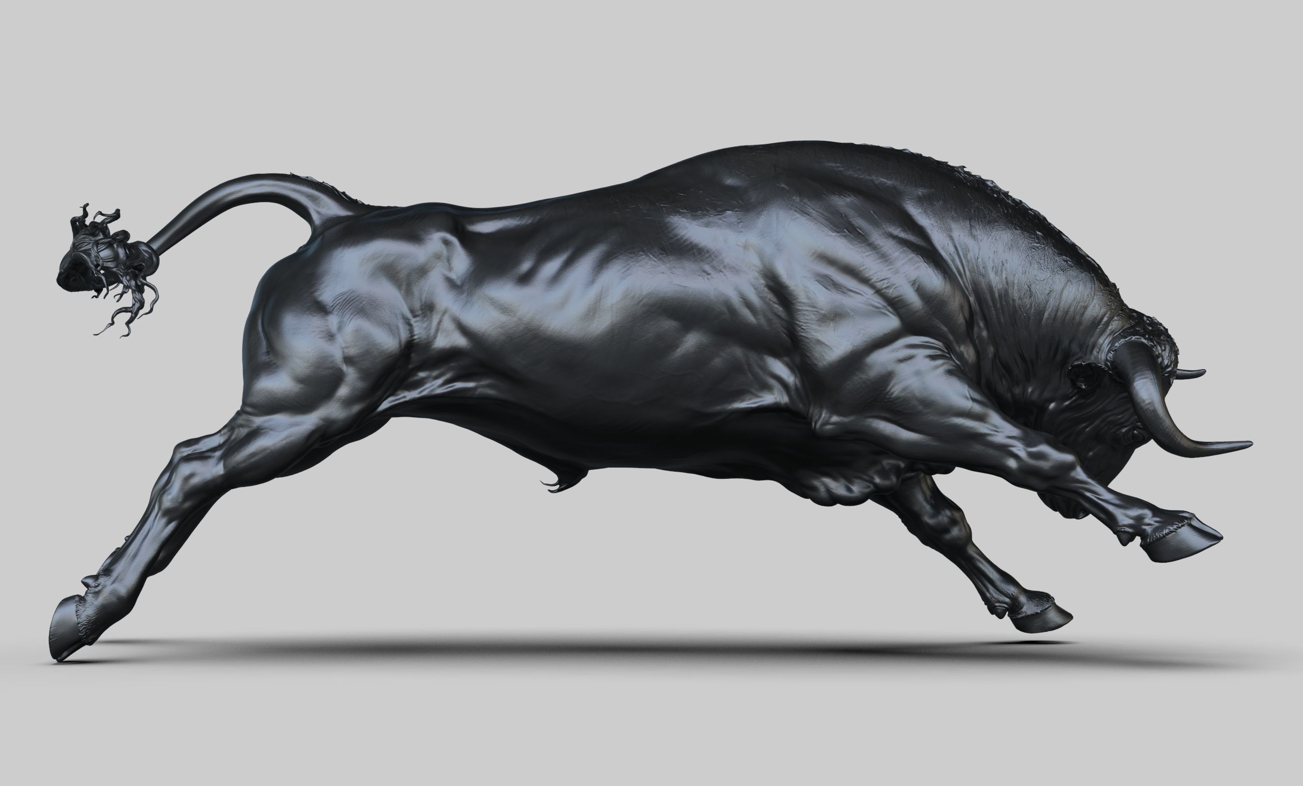 3 Bull   I  3D Sculpting 3D Model Collection_3