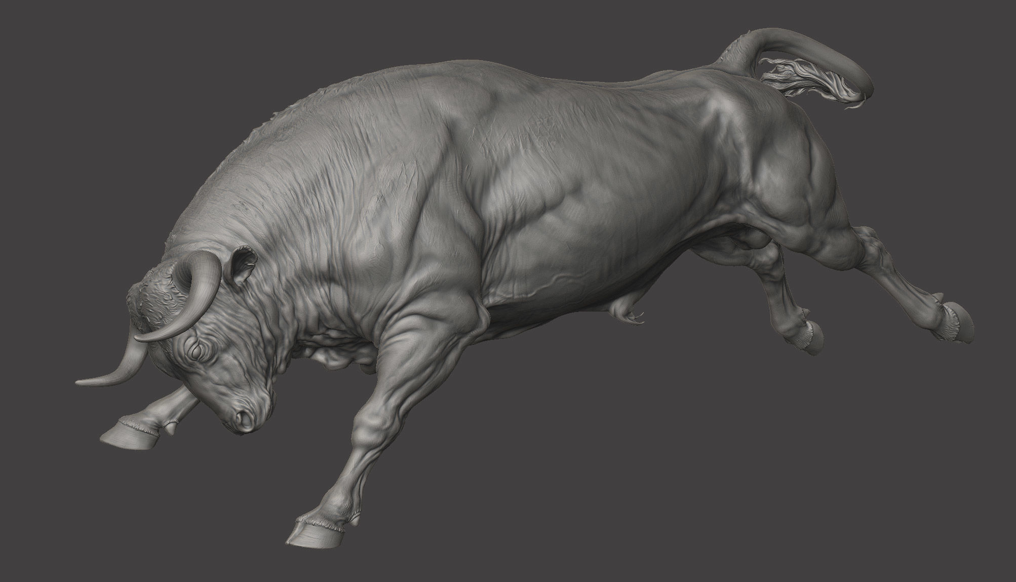 3 Bull   I  3D Sculpting 3D Model Collection_10