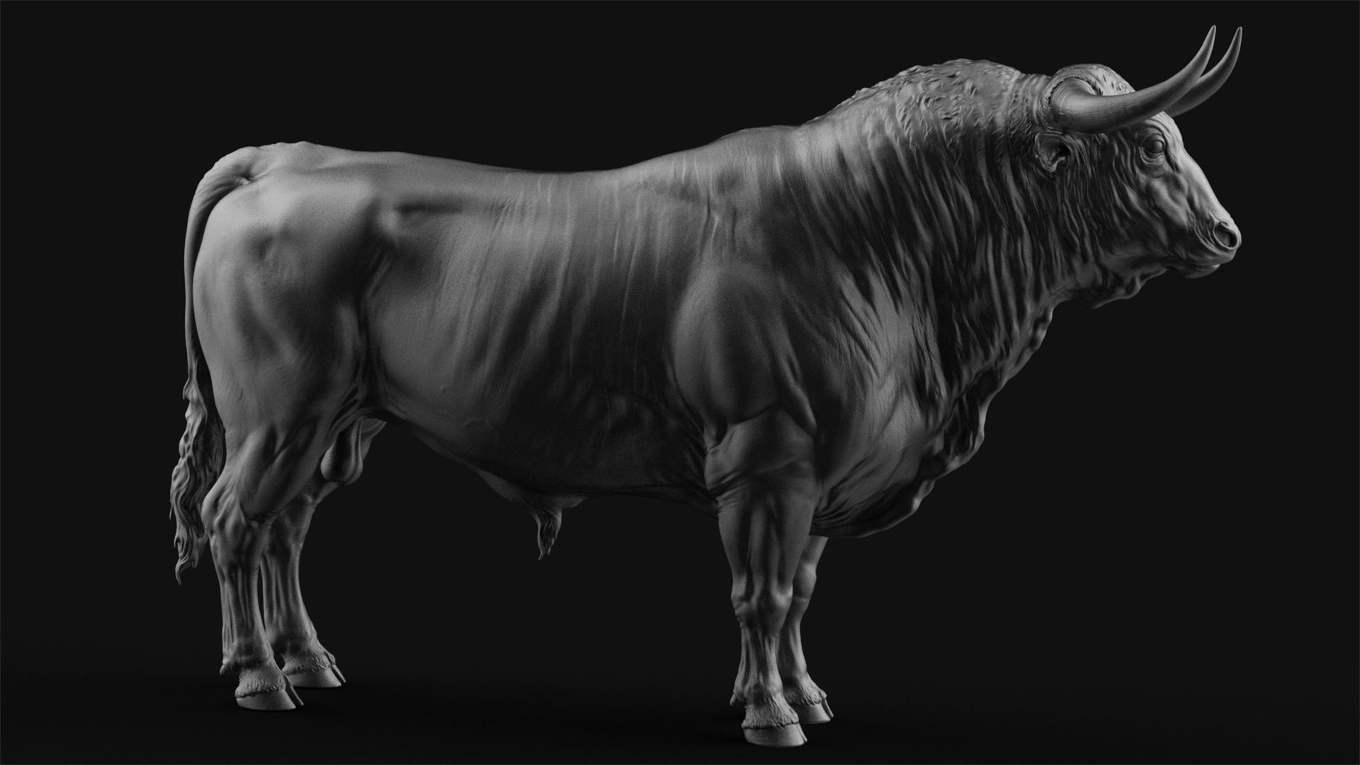 3 Bull   I  3D Sculpting 3D Model Collection_28