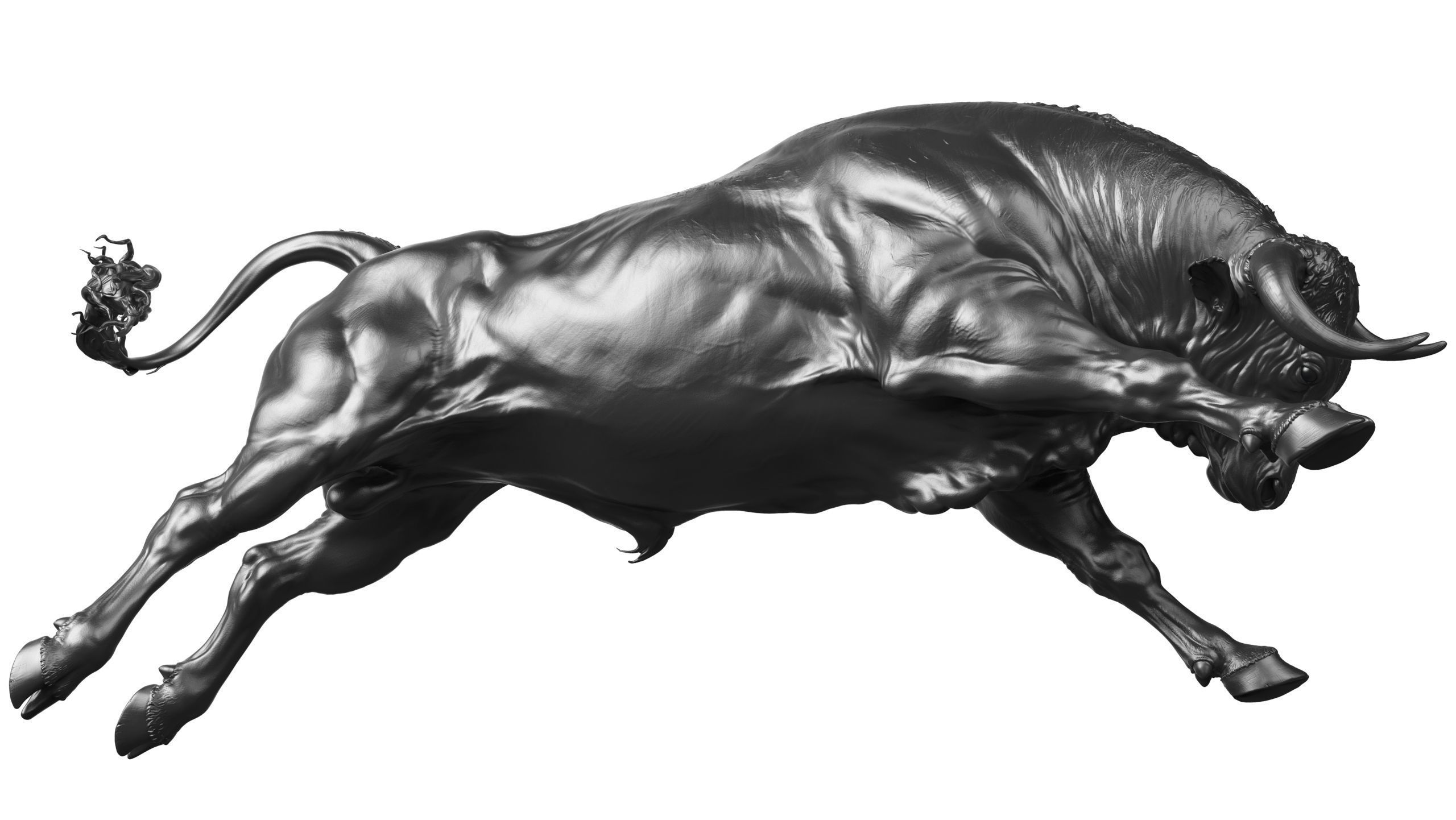 3 Bull   I  3D Sculpting 3D Model Collection_18