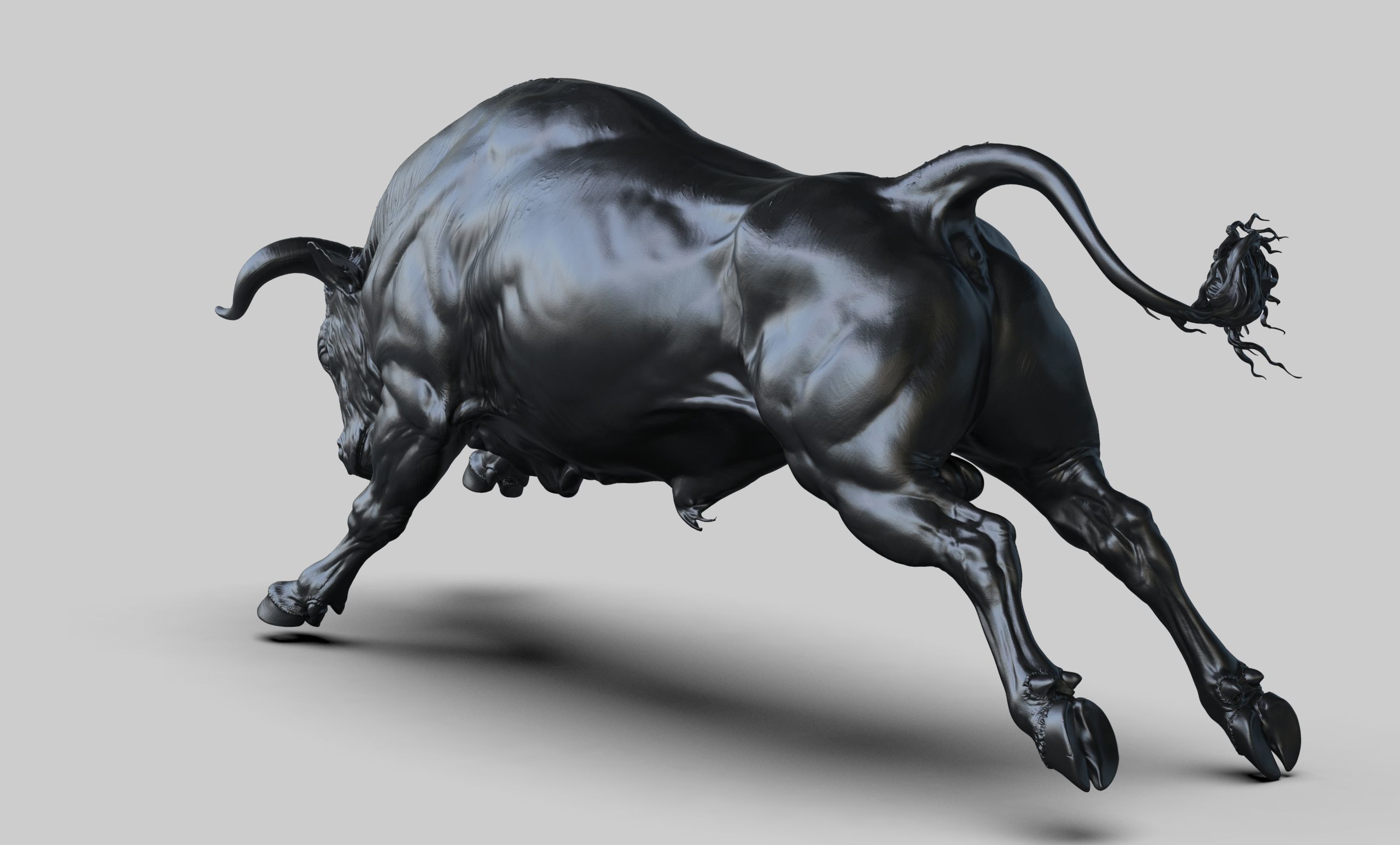 3 Bull   I  3D Sculpting 3D Model Collection_5