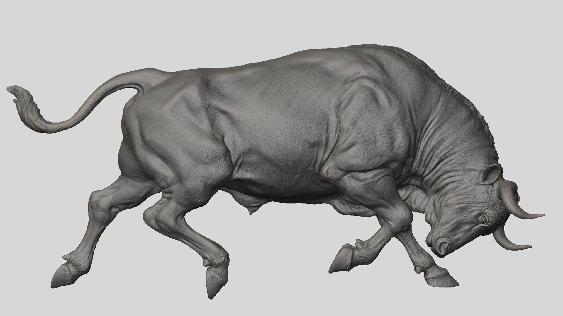 3 Bull   I  3D Sculpting 3D Model Collection_23