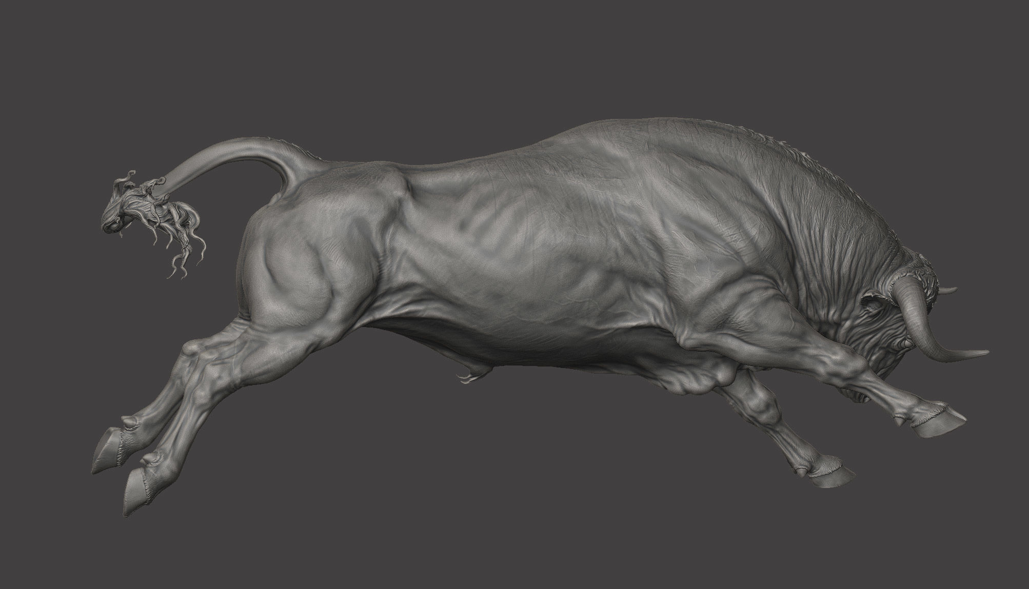 3 Bull   I  3D Sculpting 3D Model Collection_9