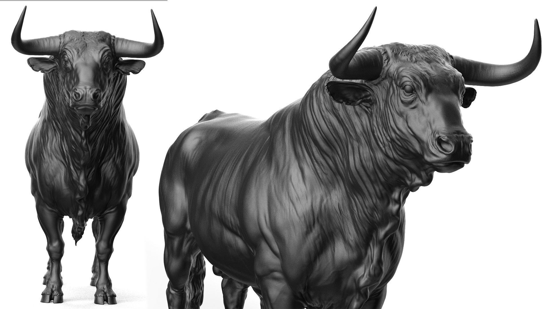 3 Bull   I  3D Sculpting 3D Model Collection_26