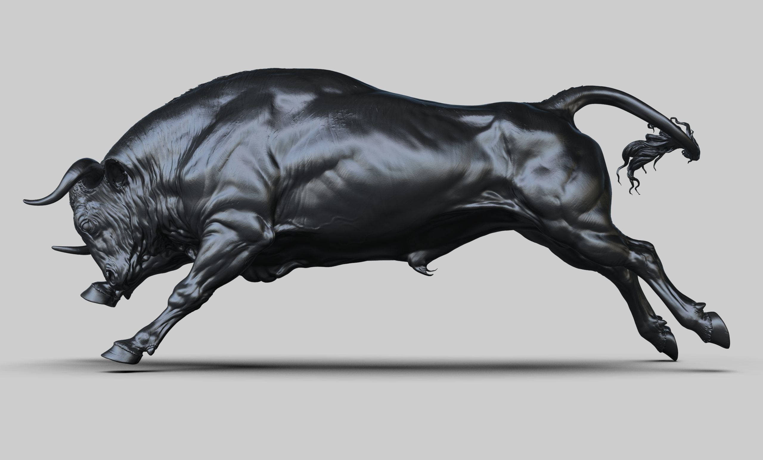 3 Bull   I  3D Sculpting 3D Model Collection_4