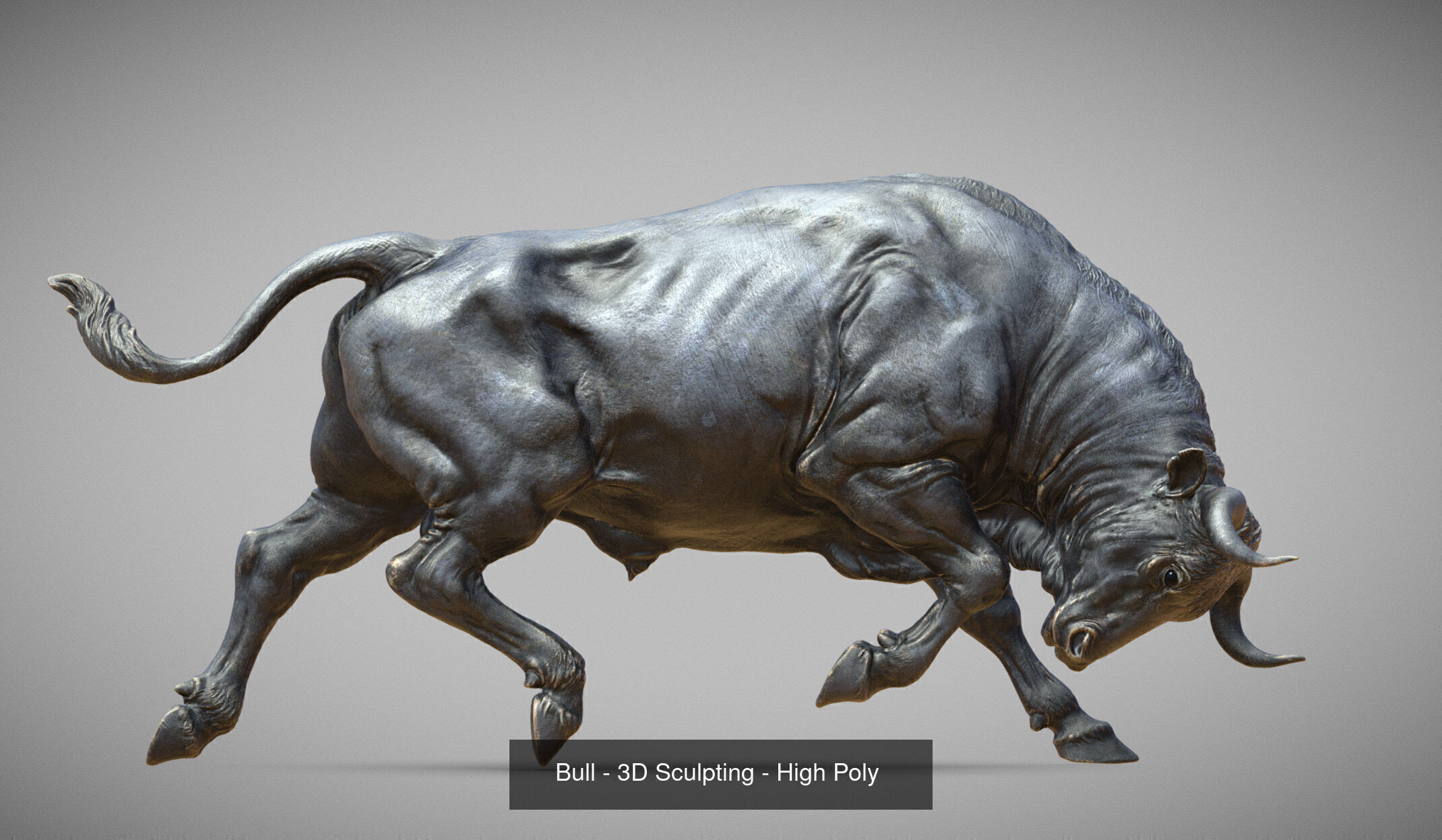 3 Bull   I  3D Sculpting 3D Model Collection_19