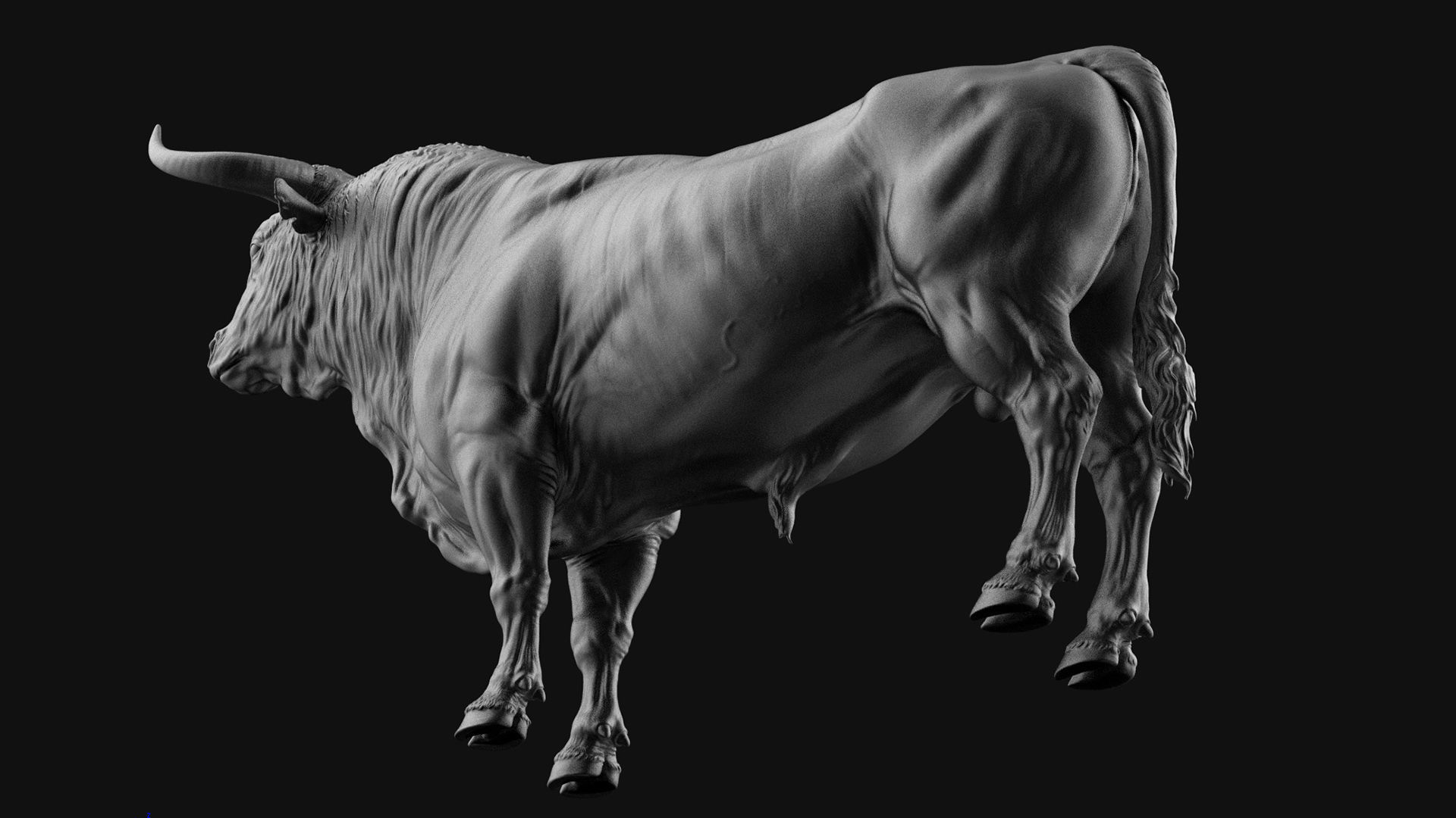 3 Bull   I  3D Sculpting 3D Model Collection_29
