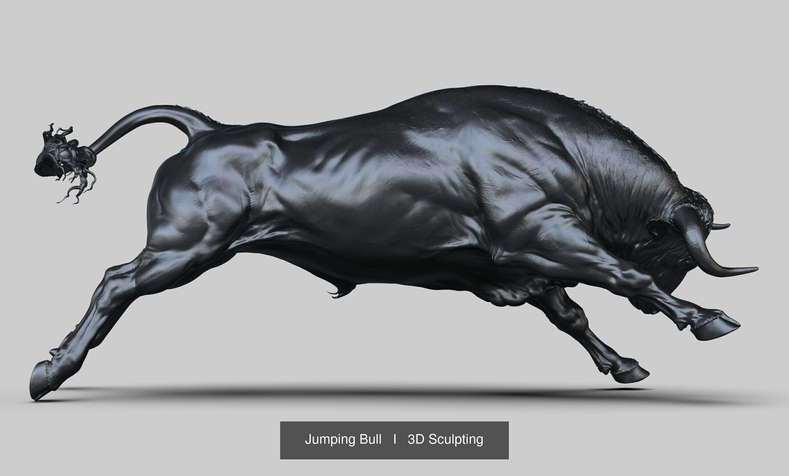 3 Bull   I  3D Sculpting 3D Model Collection_6