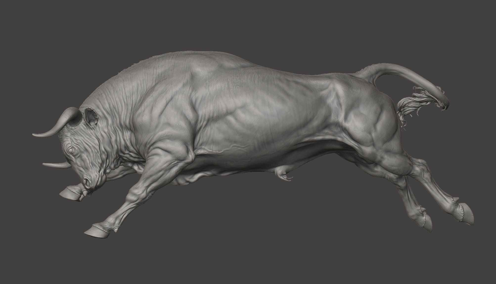 3 Bull   I  3D Sculpting 3D Model Collection_8