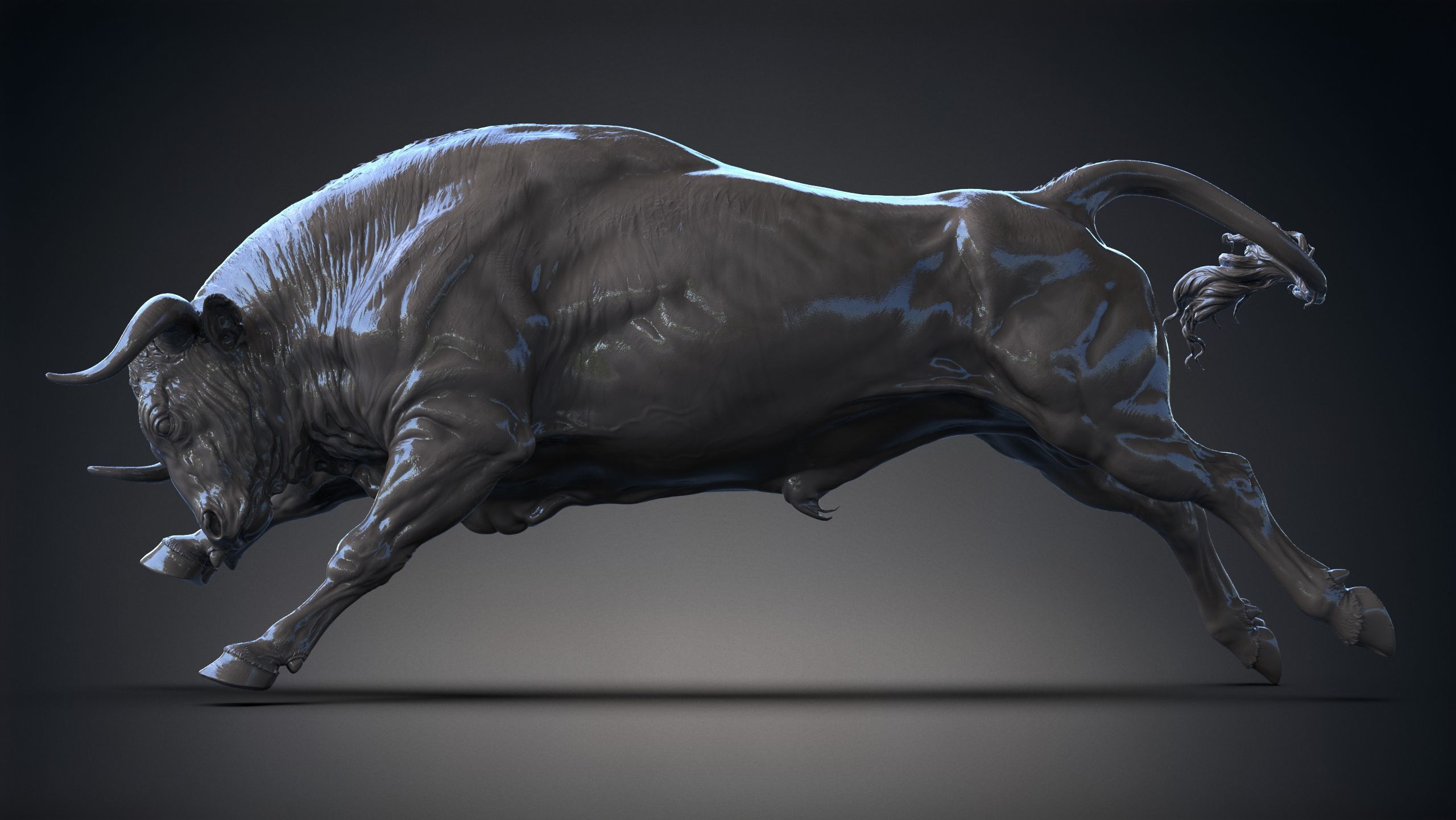 3 Bull   I  3D Sculpting 3D Model Collection_14