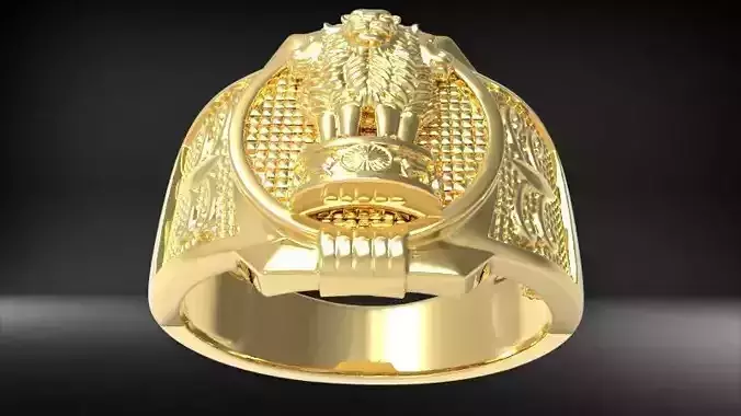 Indian Ashoka Ring  US RING SIZE 11 3D print model