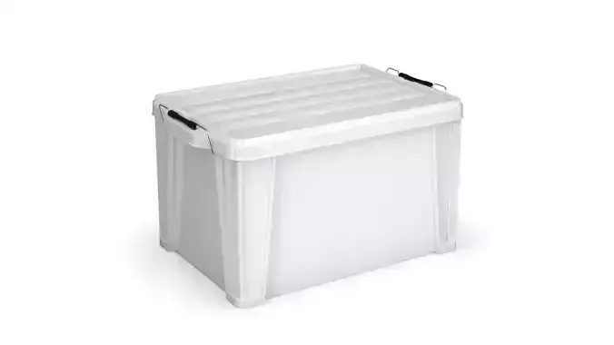 ST Box Buckle Container