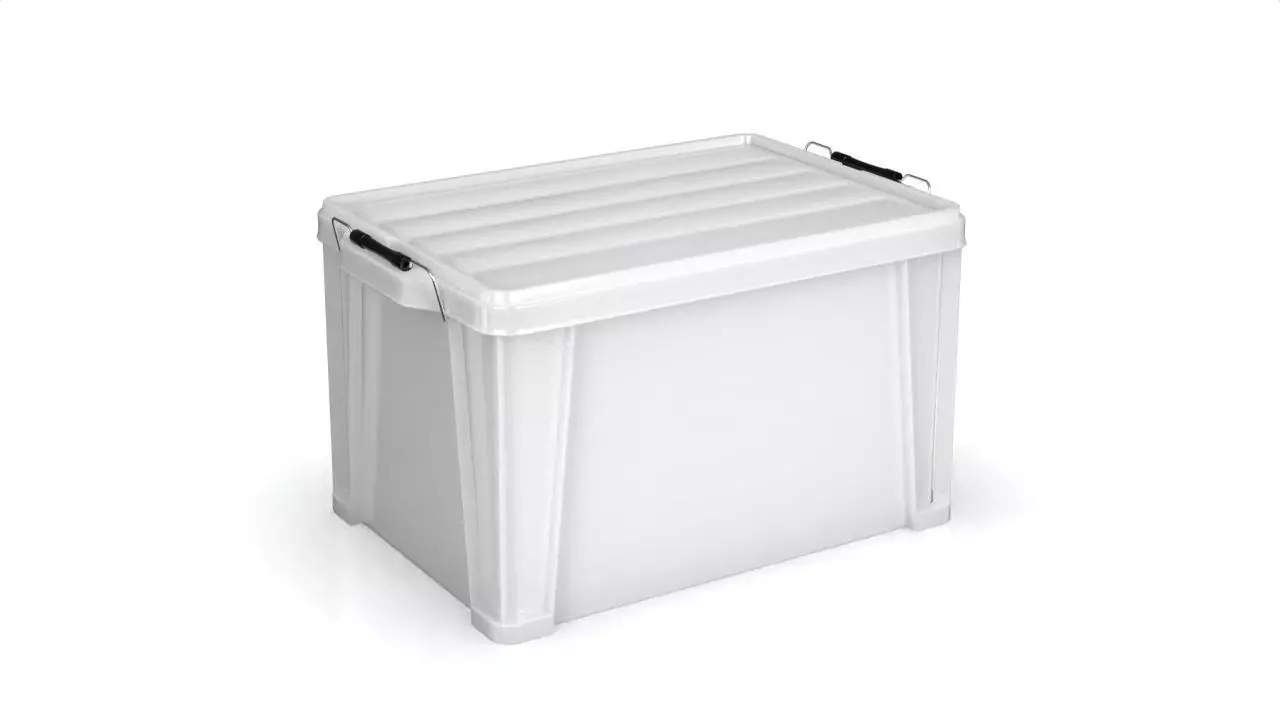 ST Box Buckle Container 3D model