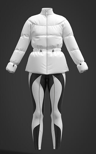 Woman Clothes 3D model