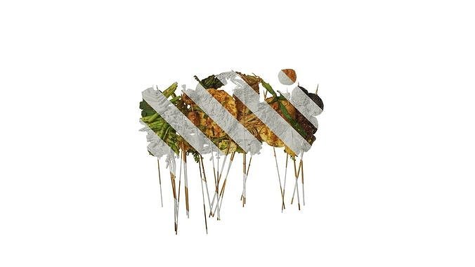 Anydrafts Kebabs 16 Texture