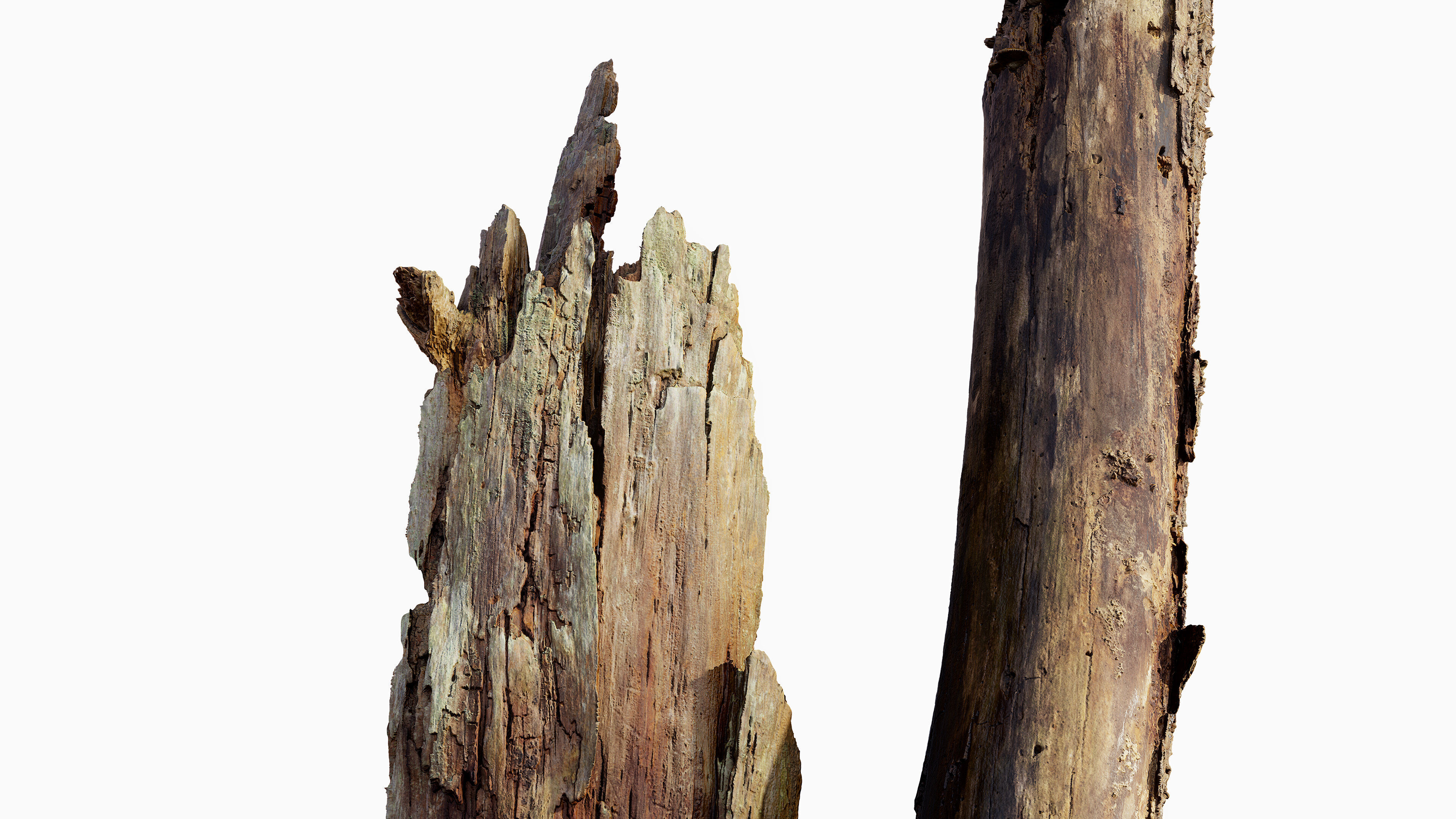 Broken Tree Stumps 01 Low-poly 3D model_18