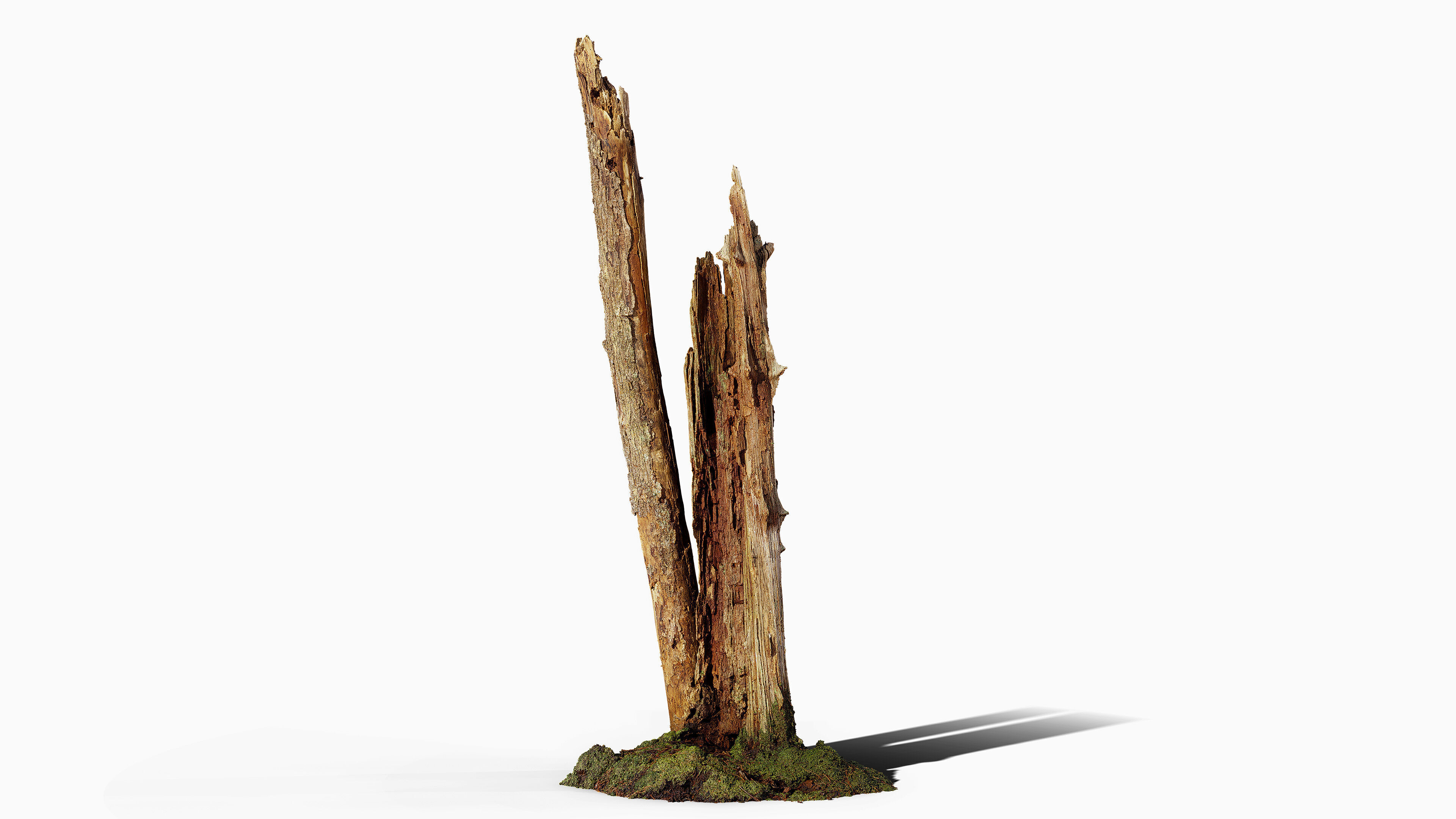 Broken Tree Stumps 01 Low-poly 3D model_16