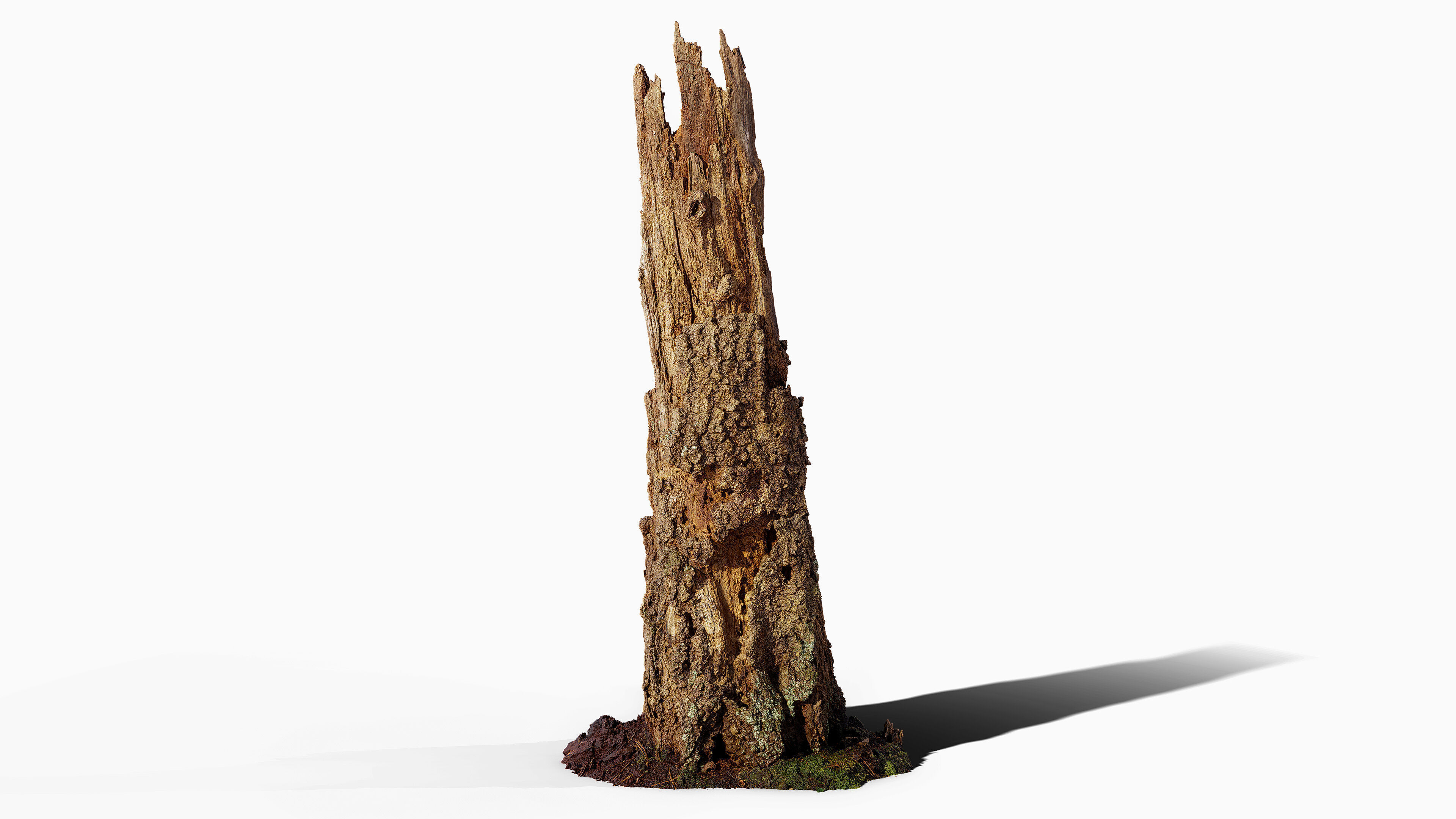 Broken Tree Stumps 01 Low-poly 3D model_8