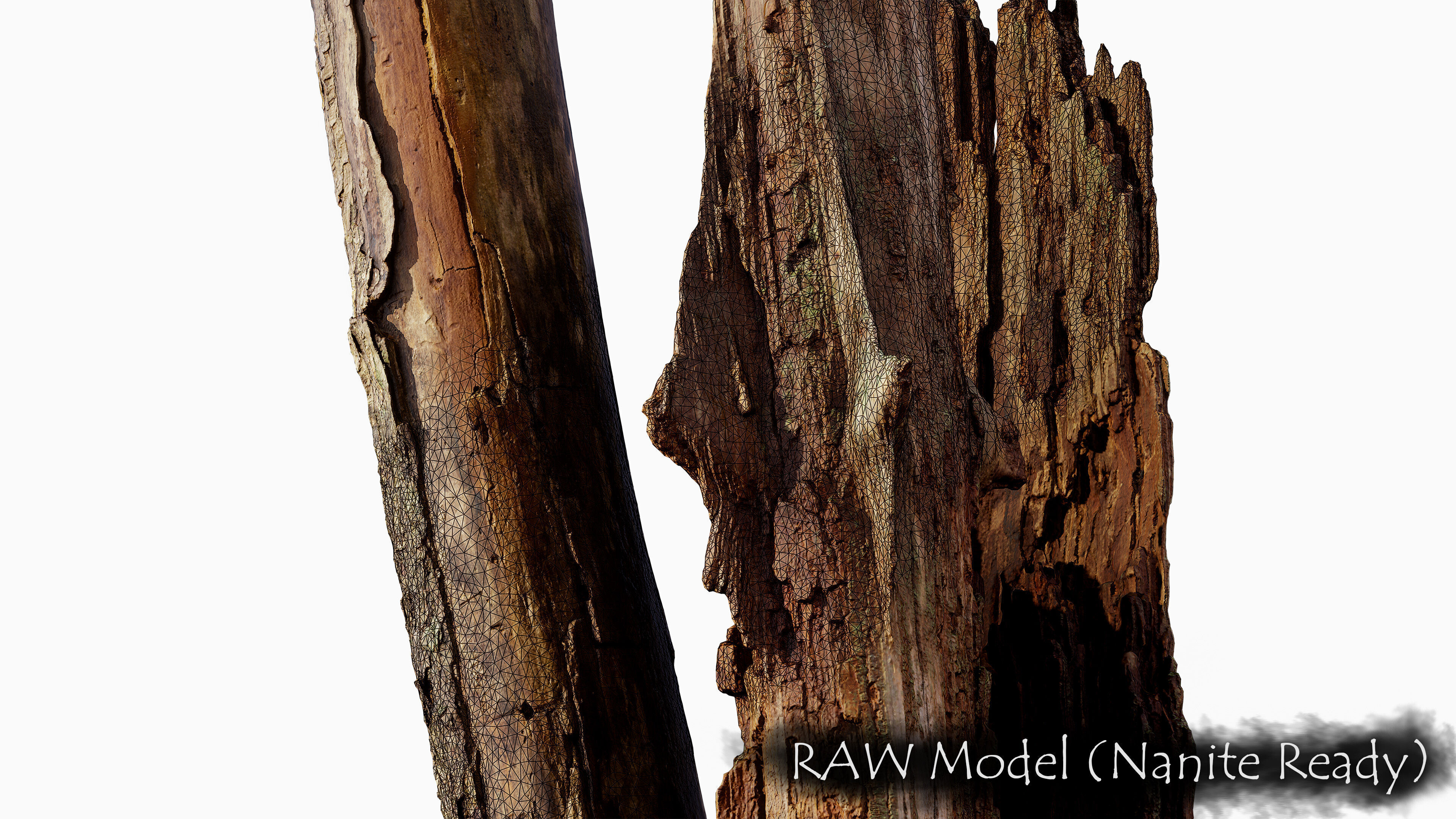 Broken Tree Stumps 01 Low-poly 3D model_4