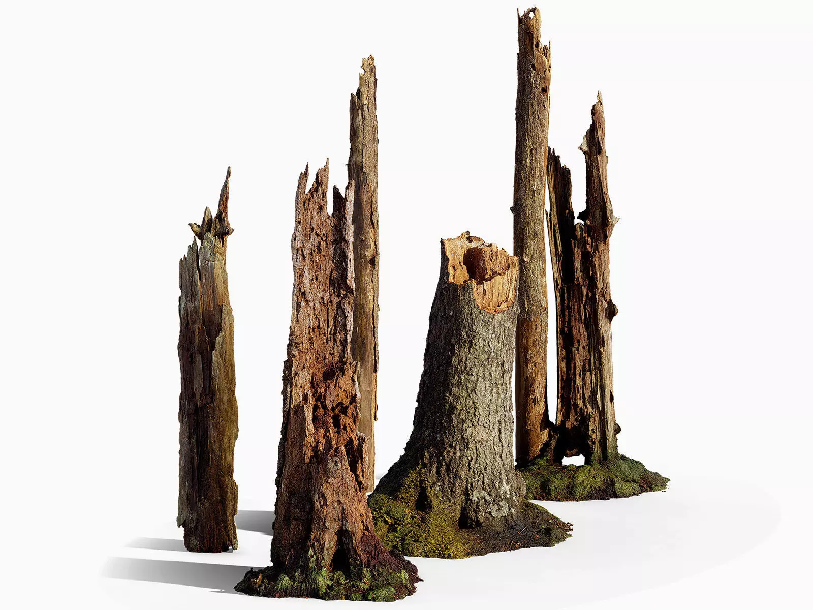Broken Tree Stumps 01 Low-poly 3D model_0