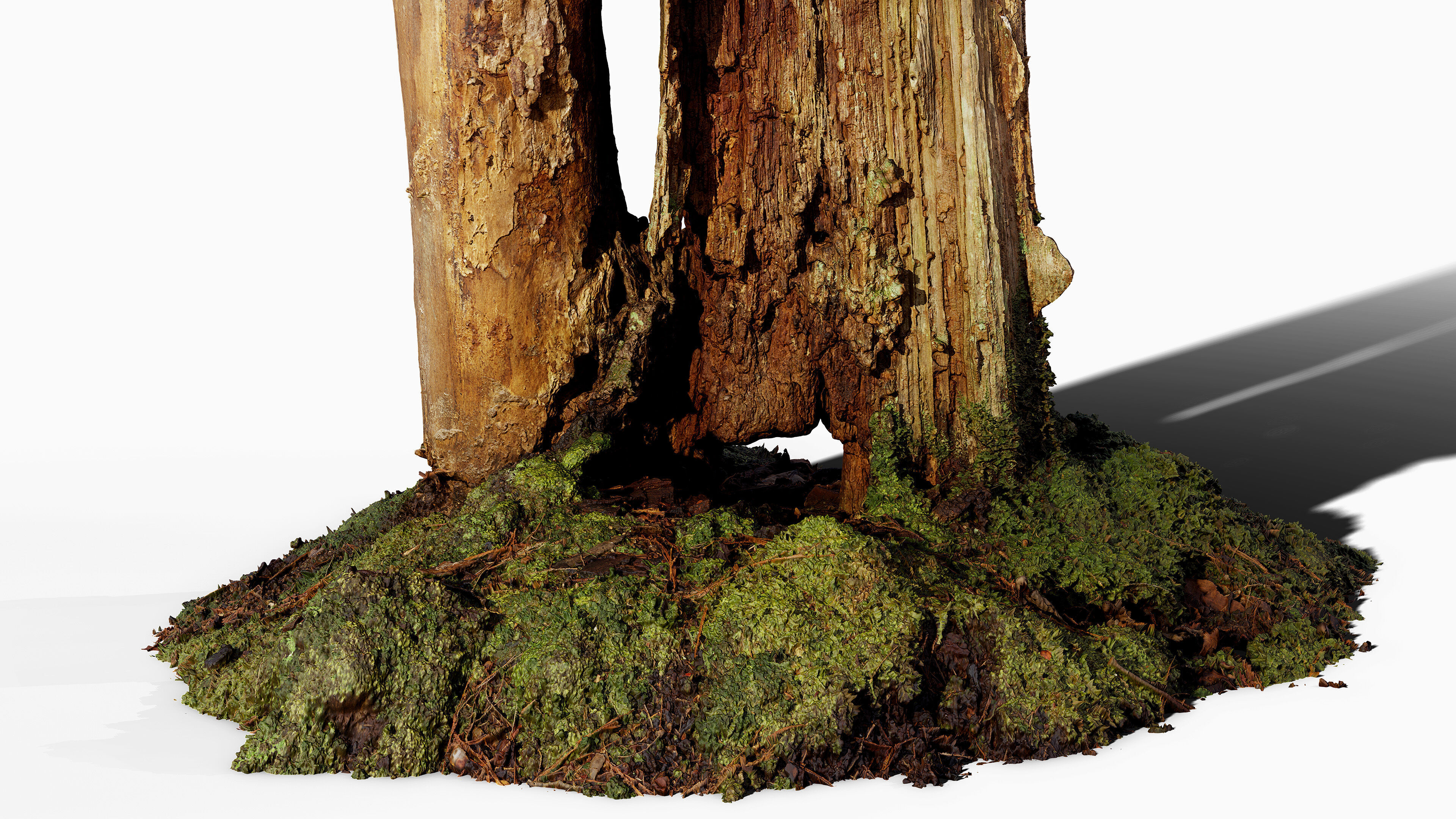 Broken Tree Stumps 01 Low-poly 3D model_17