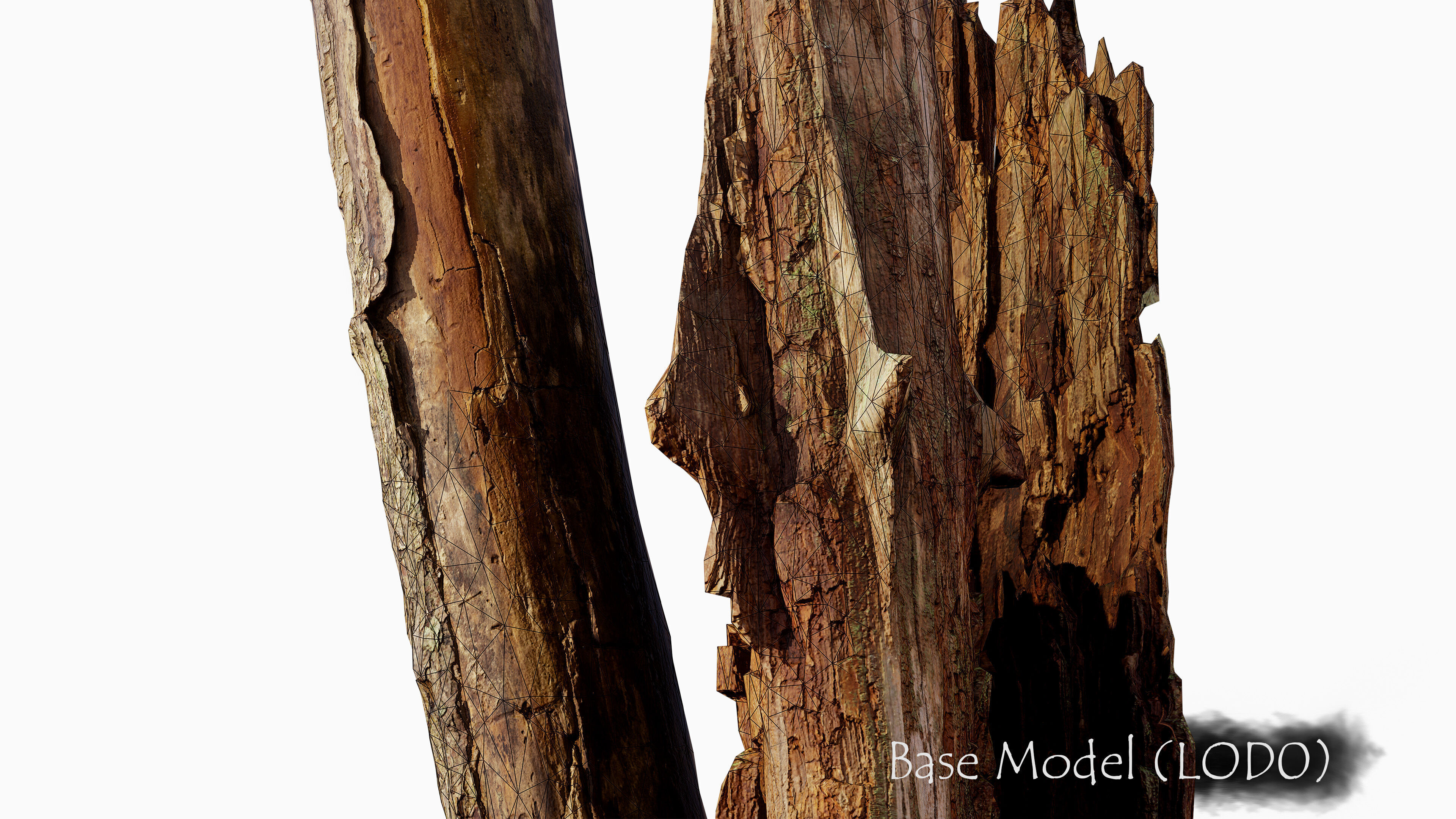 Broken Tree Stumps 01 Low-poly 3D model_3