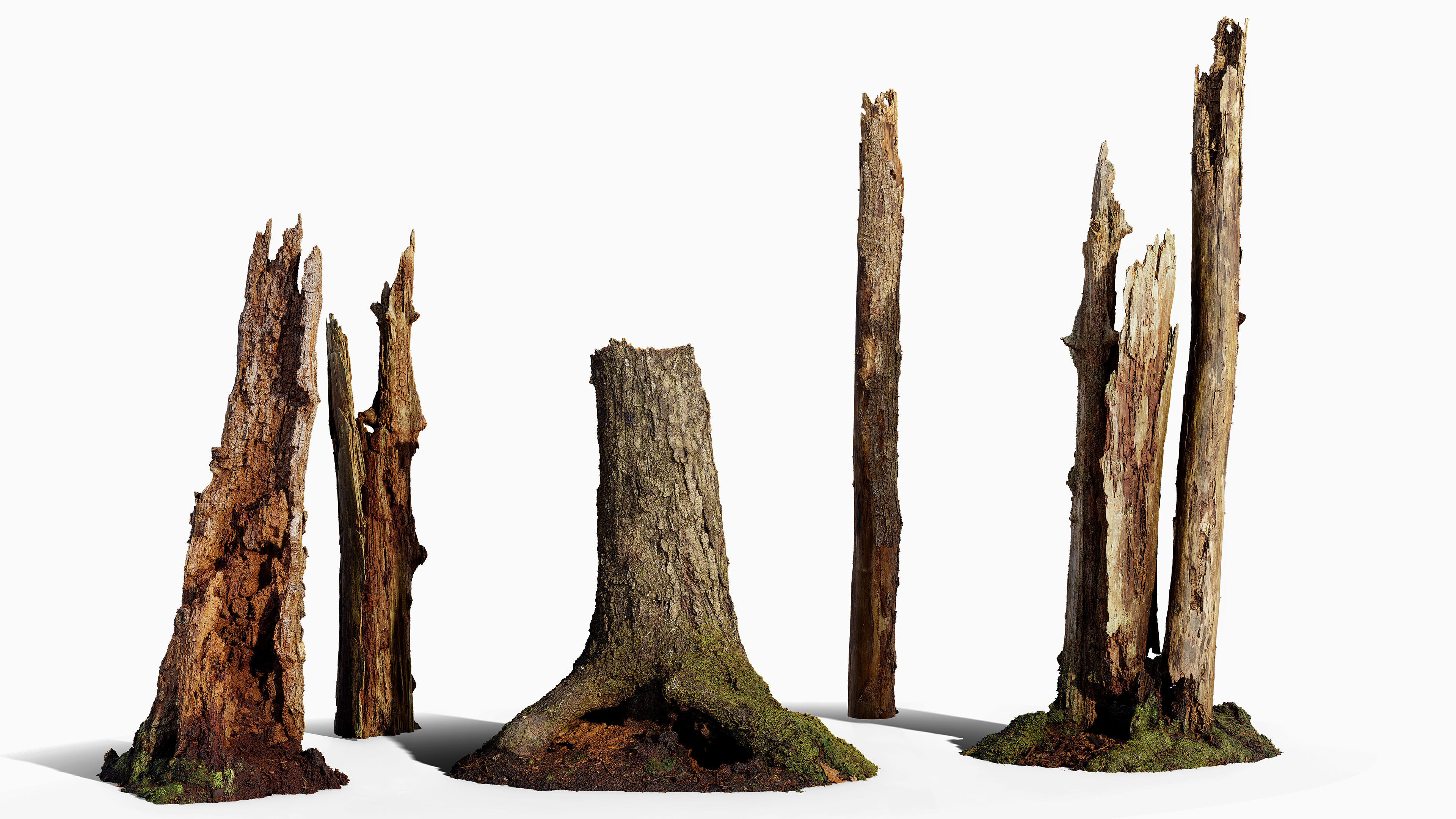 Broken Tree Stumps 01 Low-poly 3D model_1