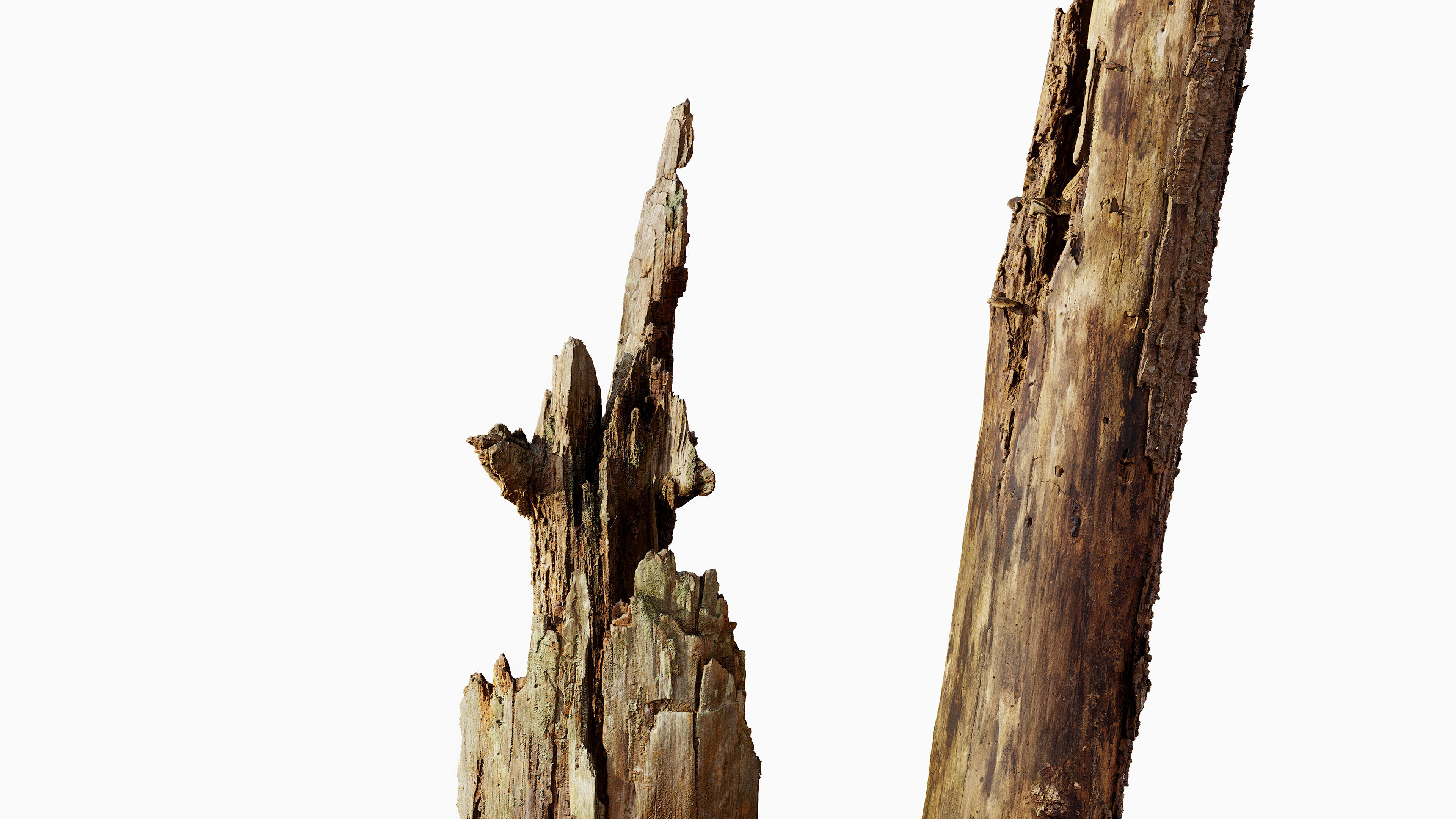 Broken Tree Stumps 01 Low-poly 3D model_20