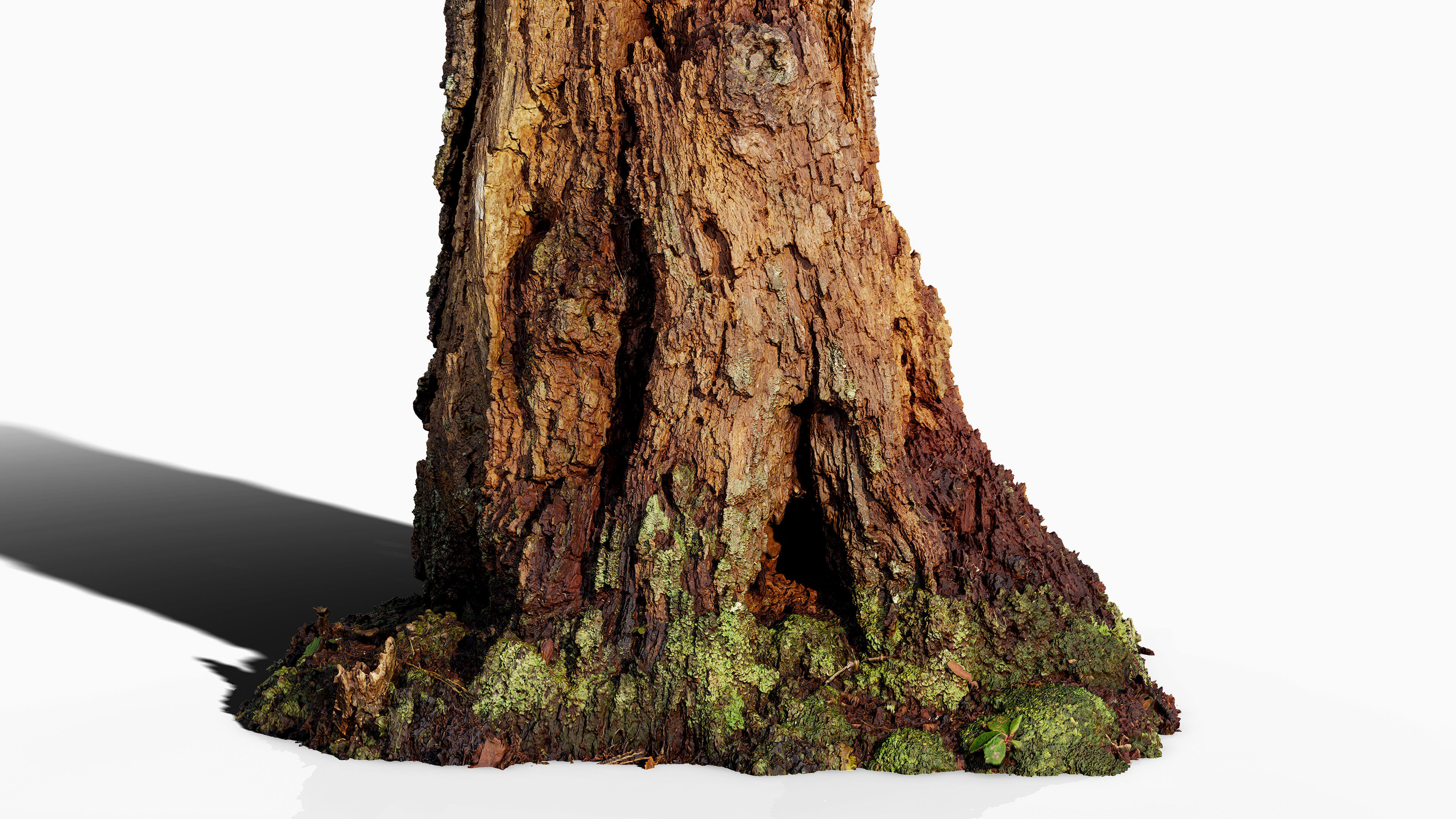 Broken Tree Stumps 01 Low-poly 3D model_10