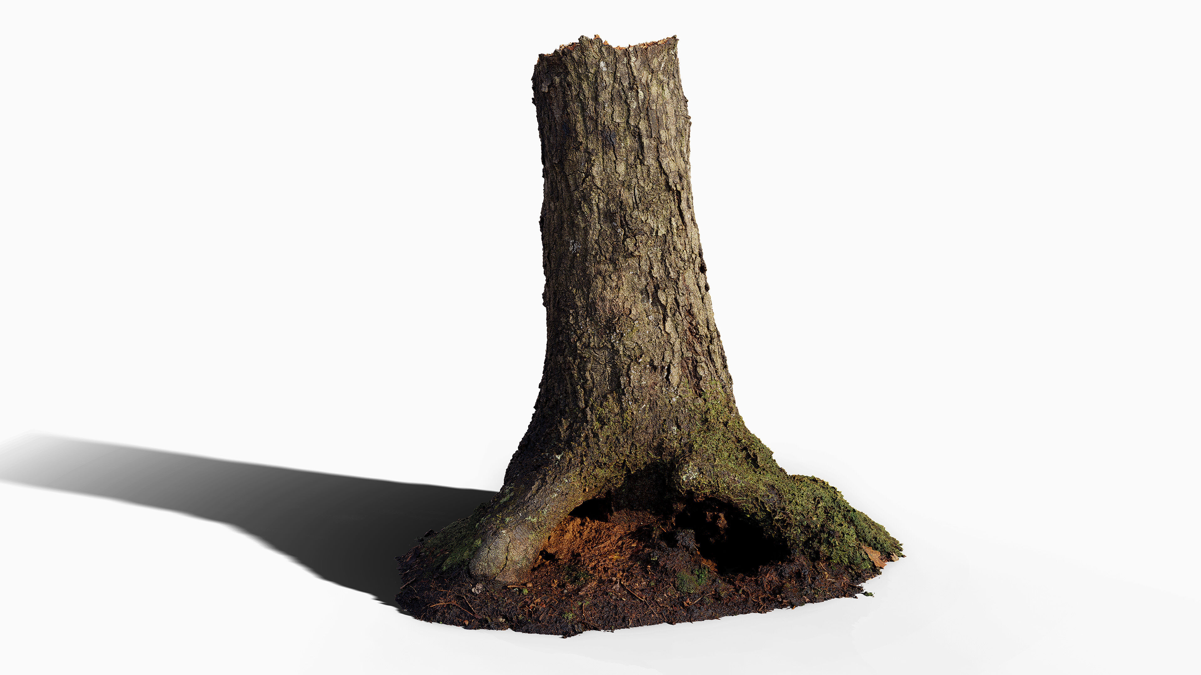 Broken Tree Stumps 01 Low-poly 3D model_12